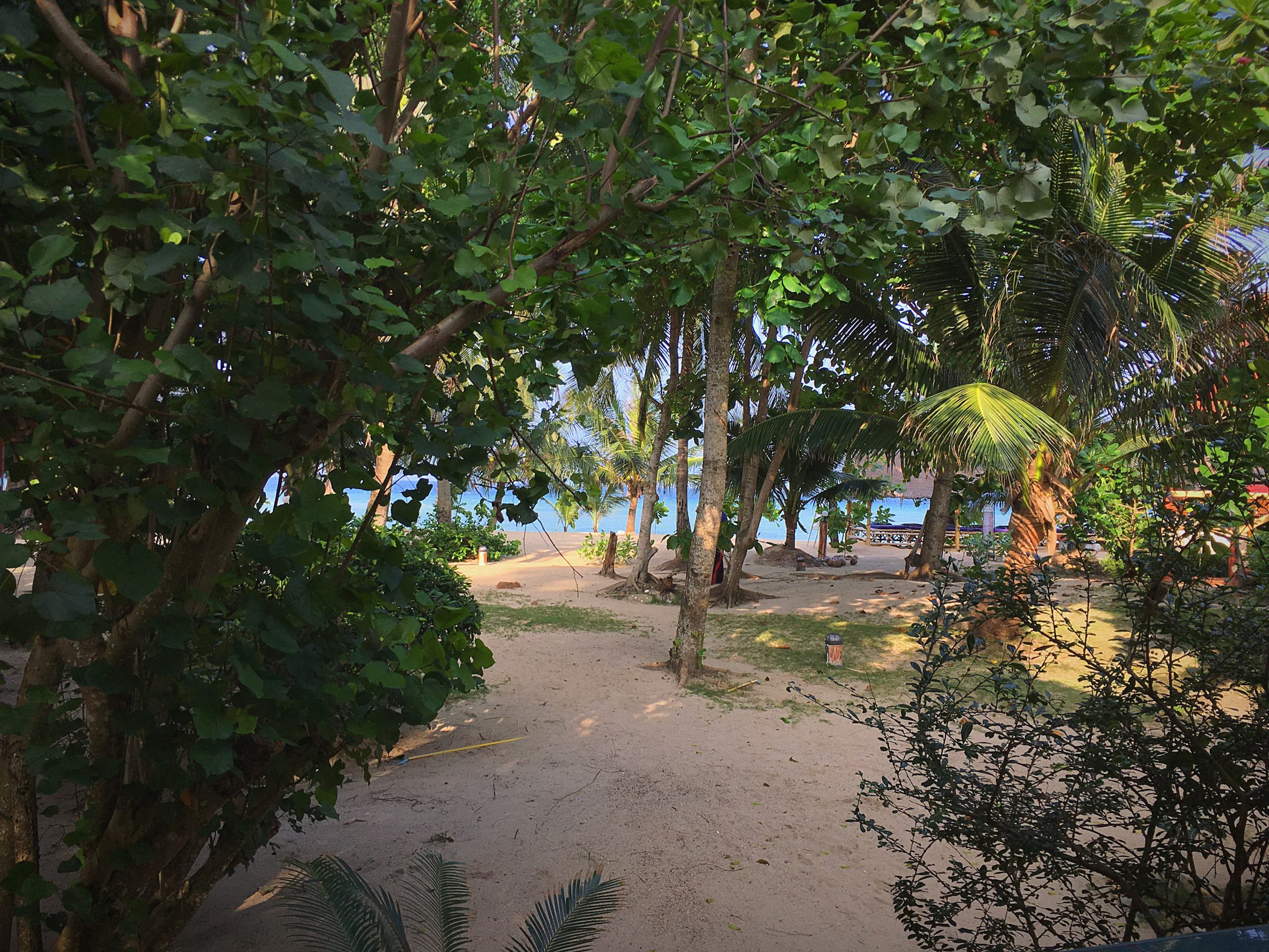 Depuis la terrasse du bungalow