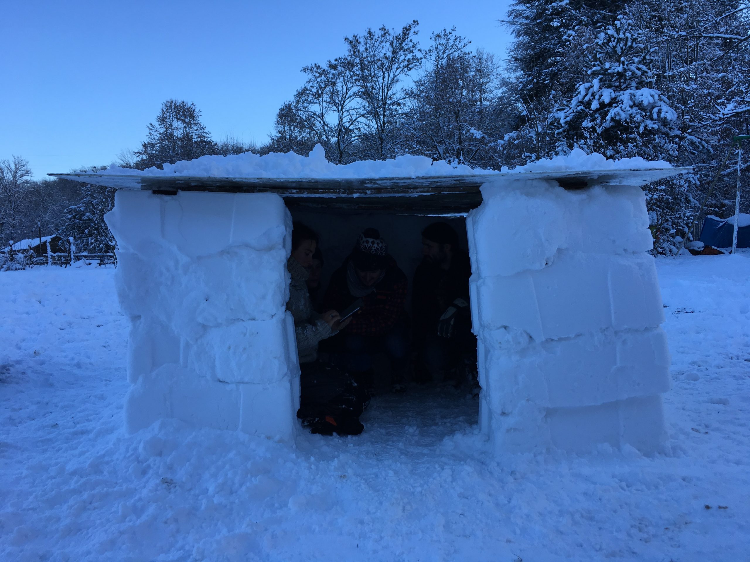 Neige, amis, igloo !