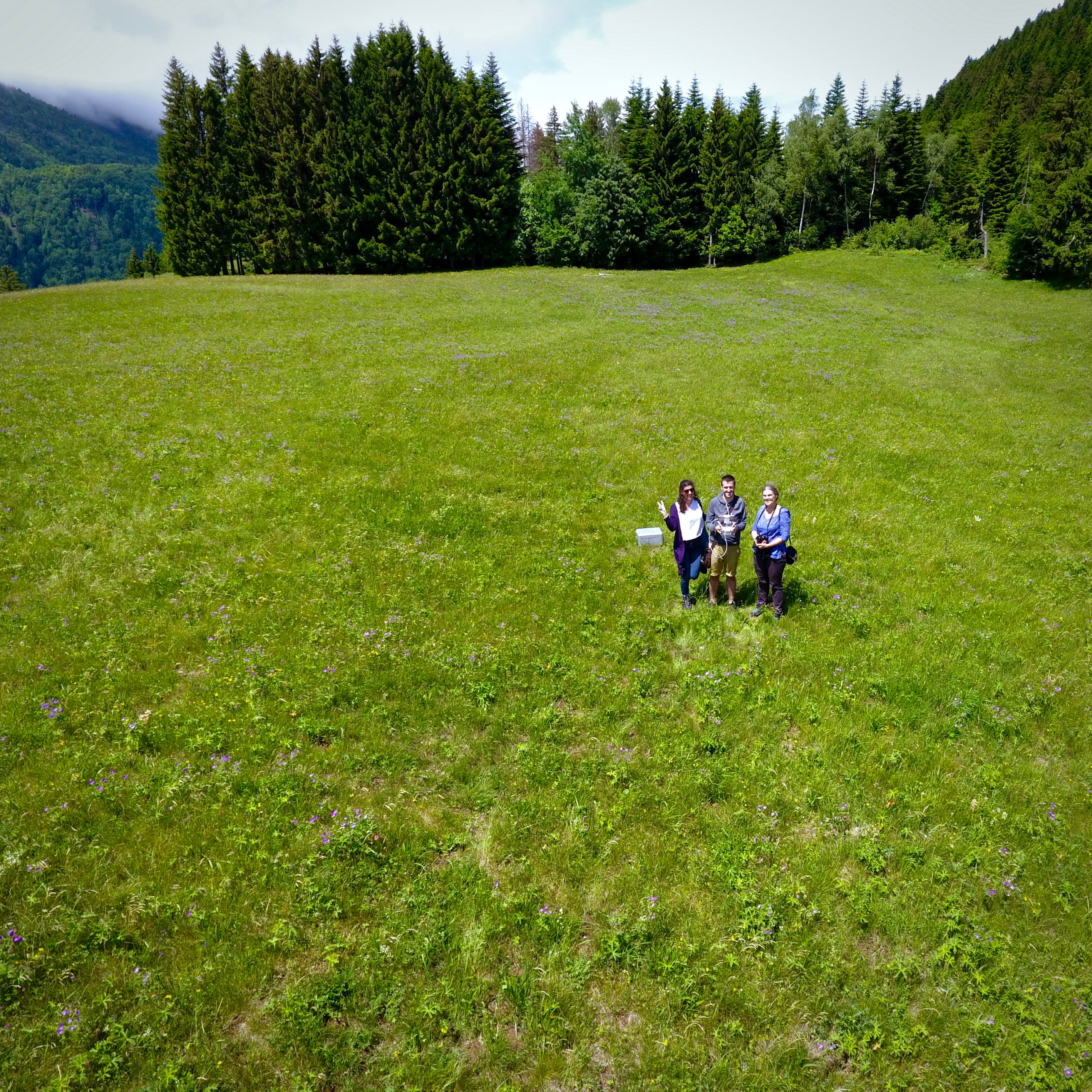 Petite famille dans la prairie
