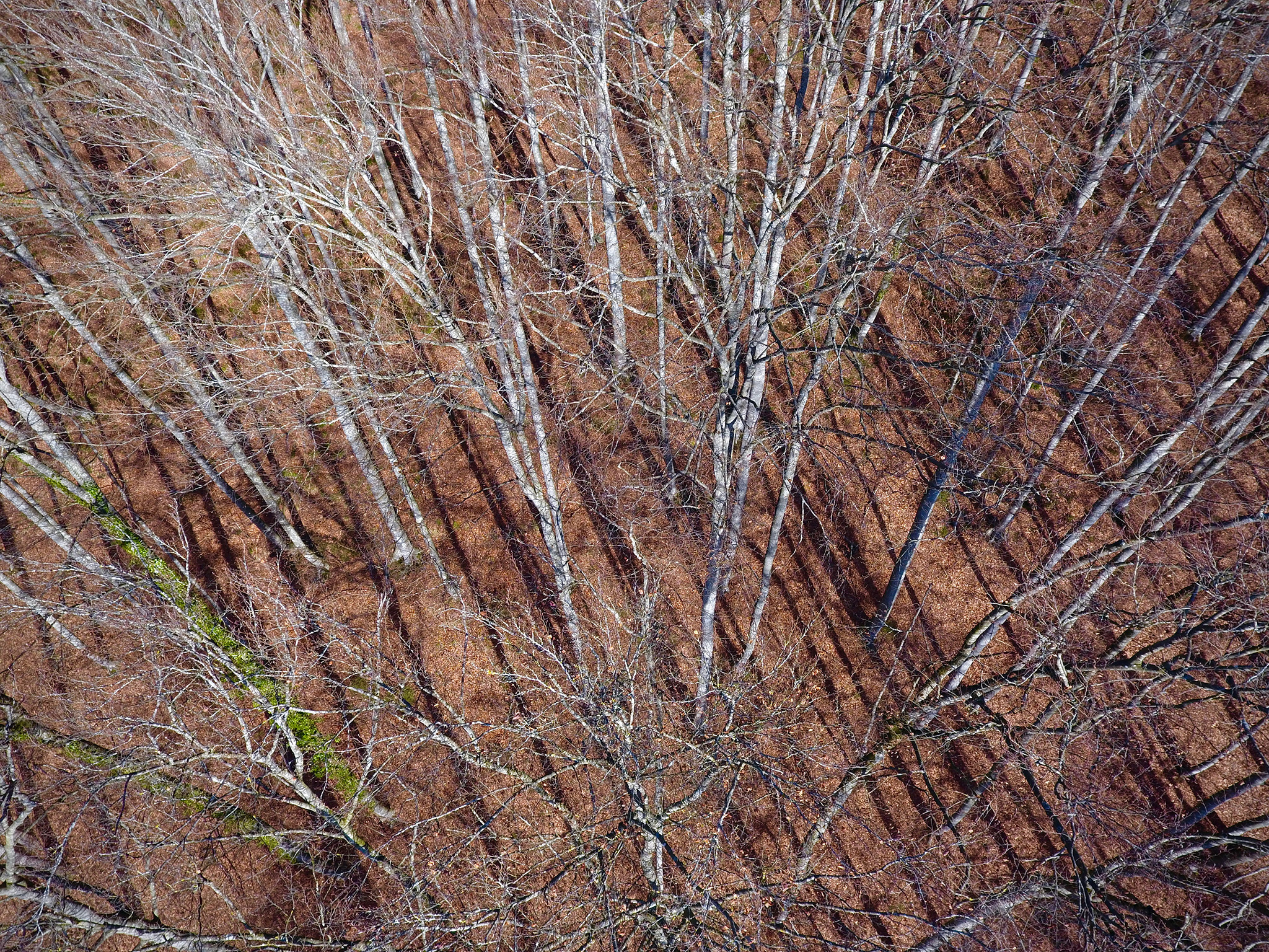 Dernier test avant le départ
