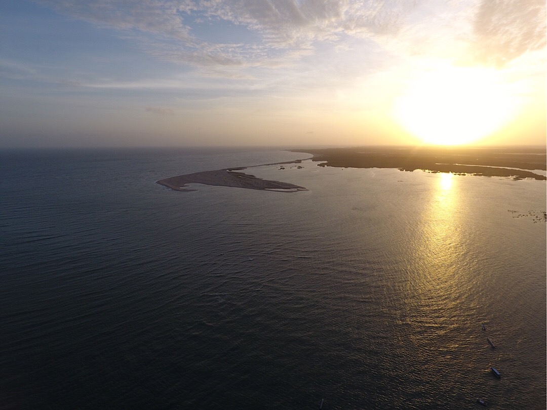 A la pointe du delta