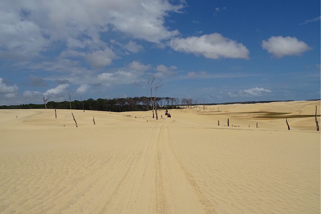 Retour dans le désert