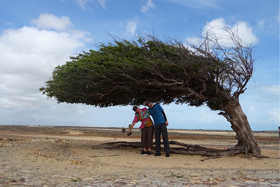 Devinez le sens du vent…