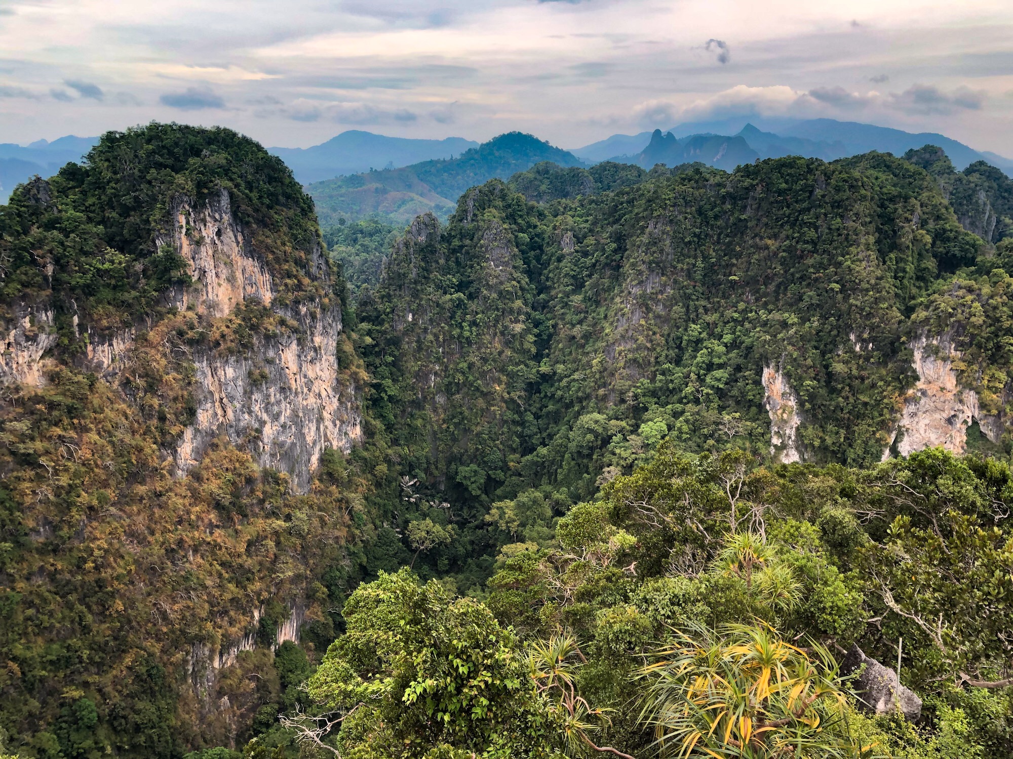 Les murs du pays des merveilles