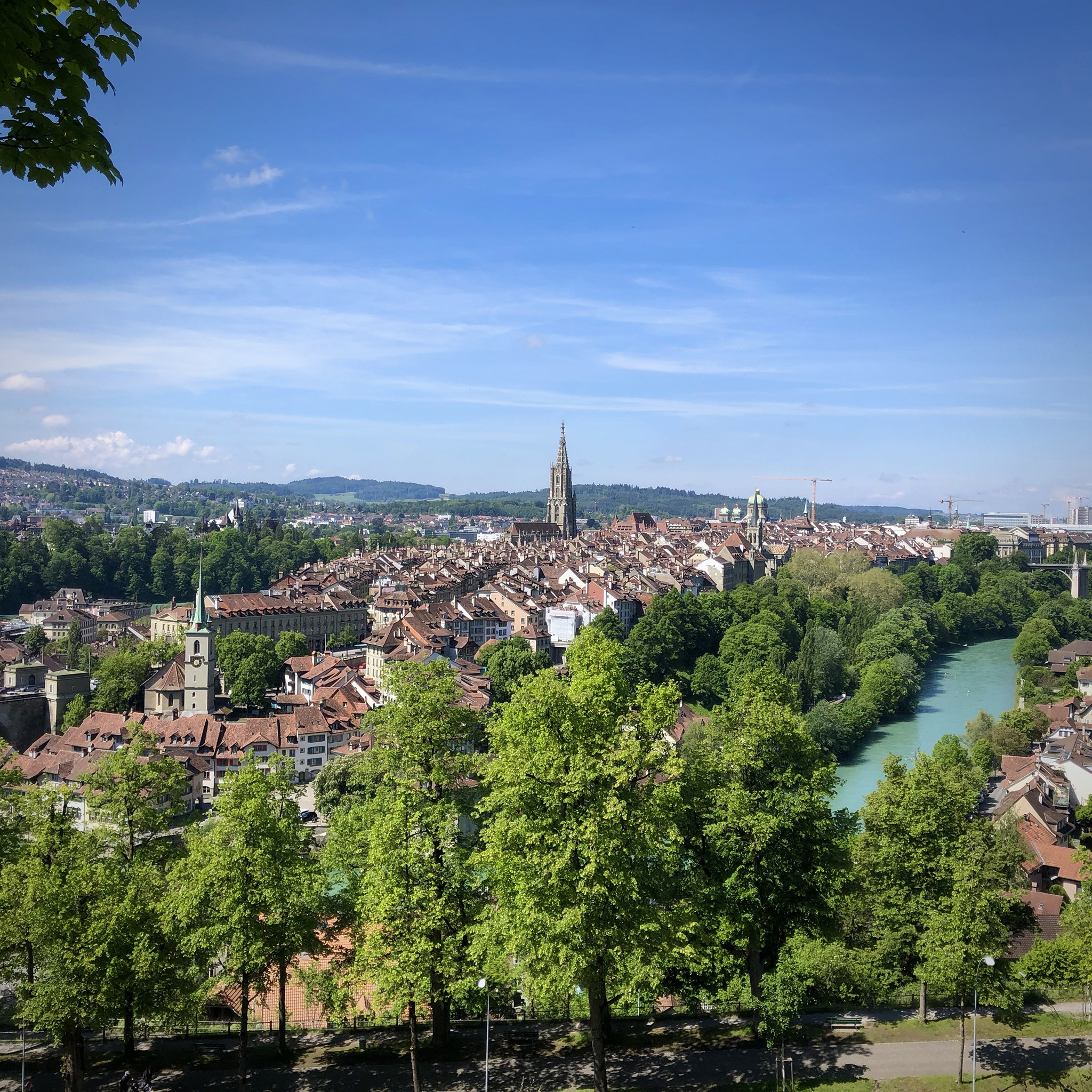 Finalement le printemps arrive (en juin)