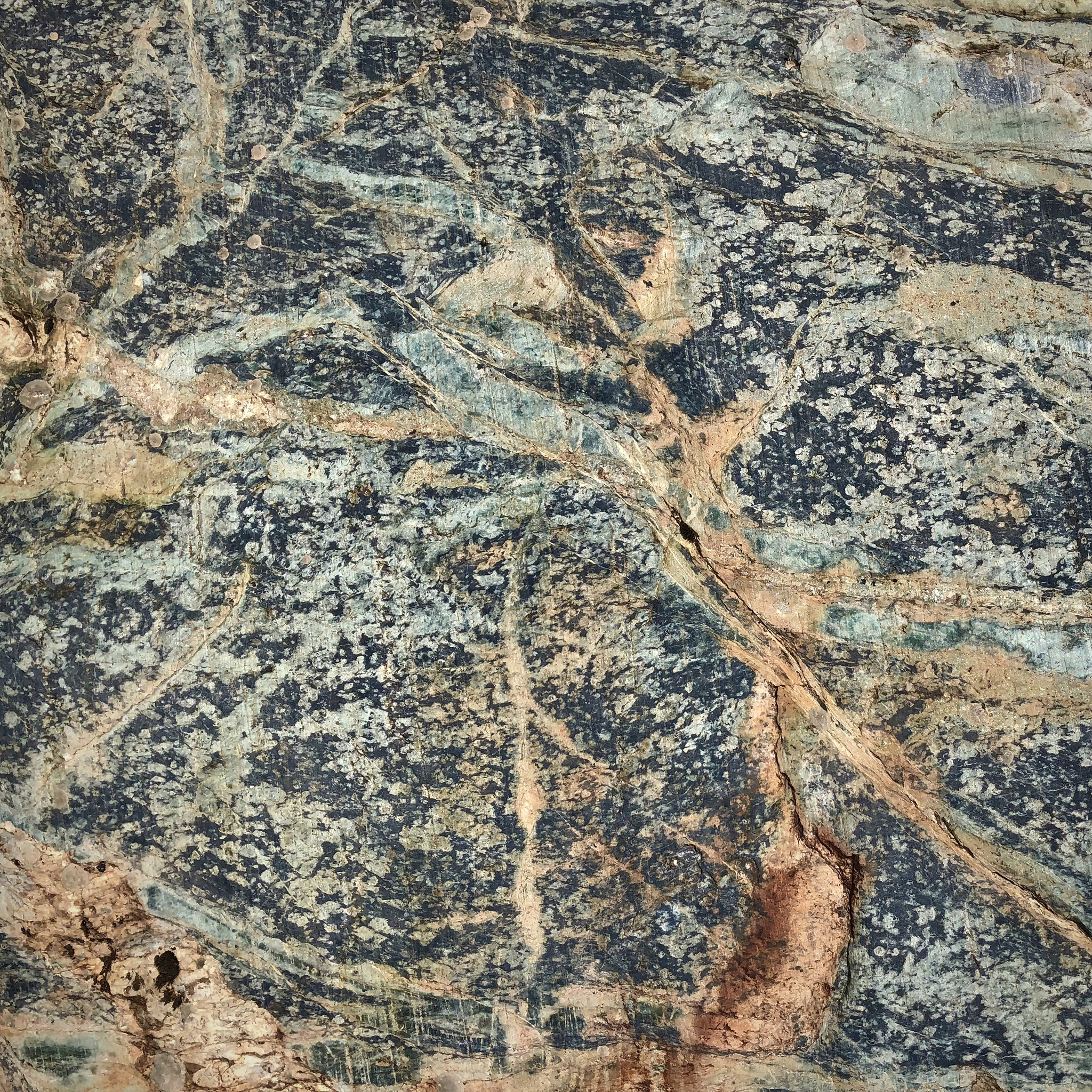 Vendre la peau du serpent