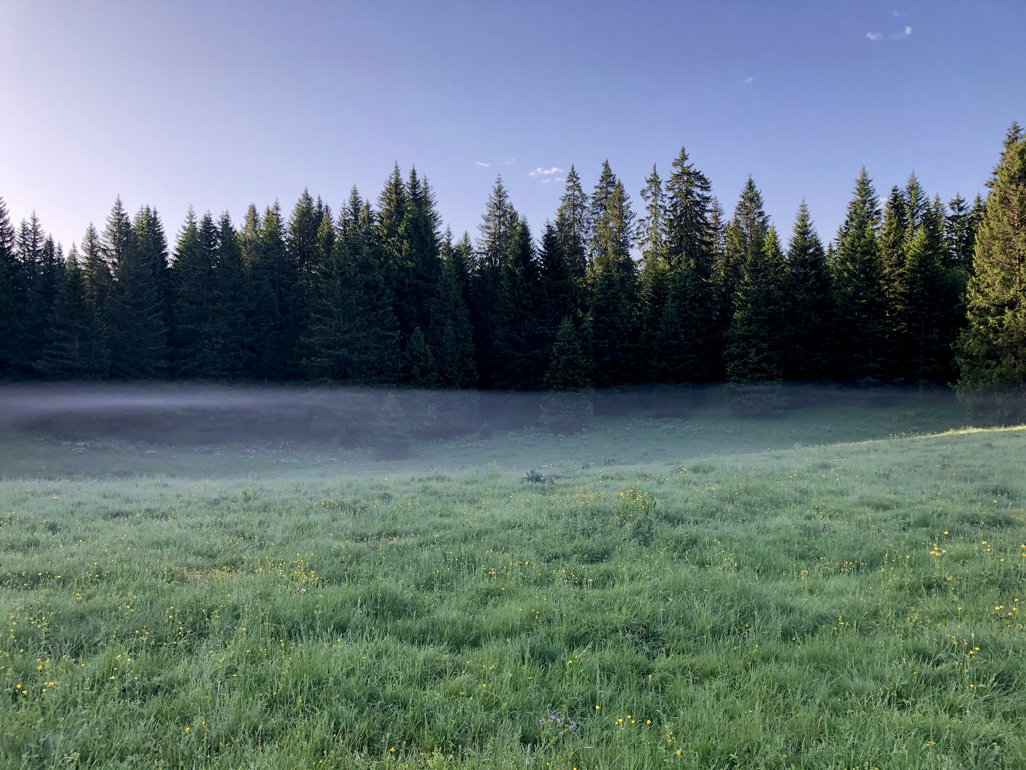 Stratus sur l&rsquo;Arcoutier