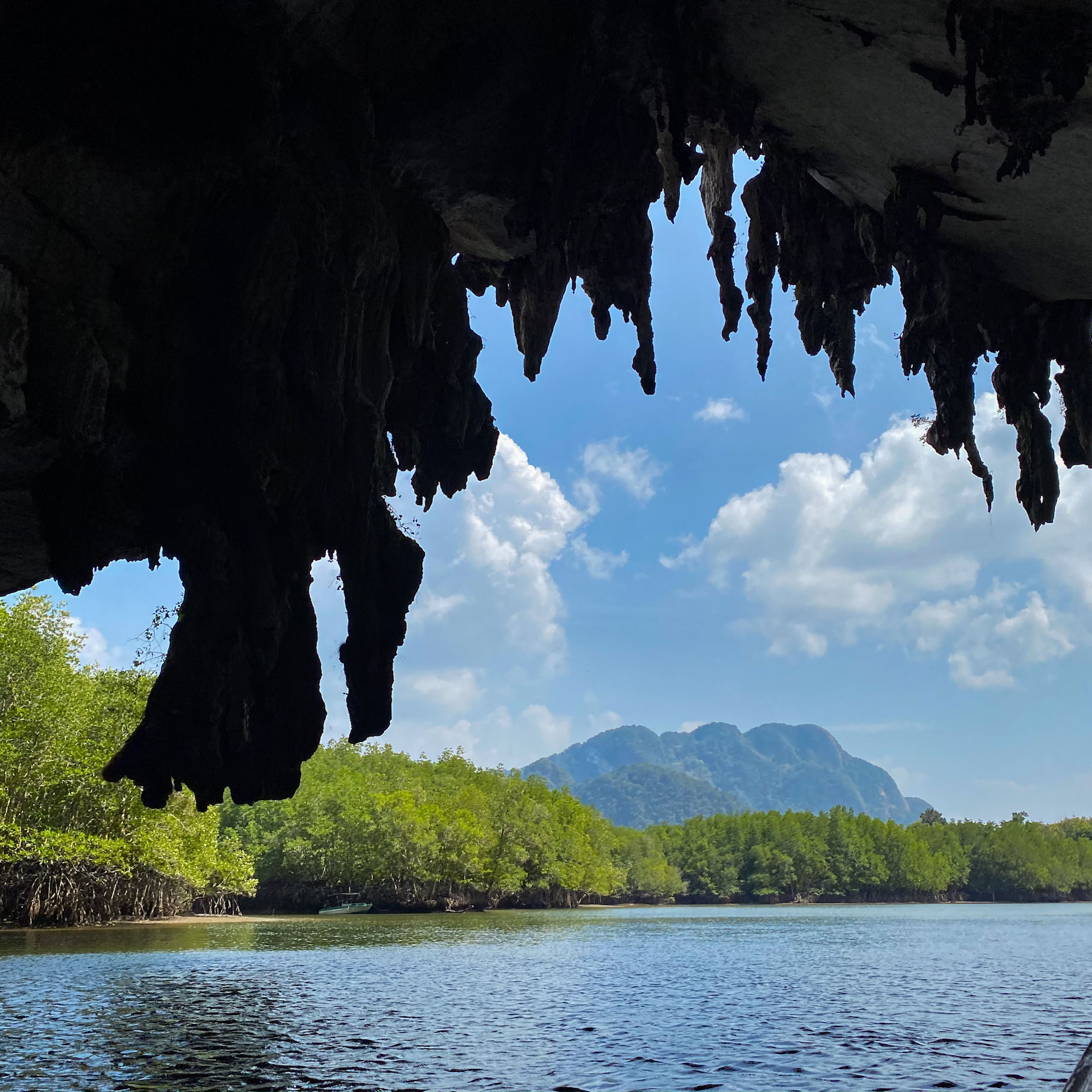 Grotte navigable avec vue sur la mangrove