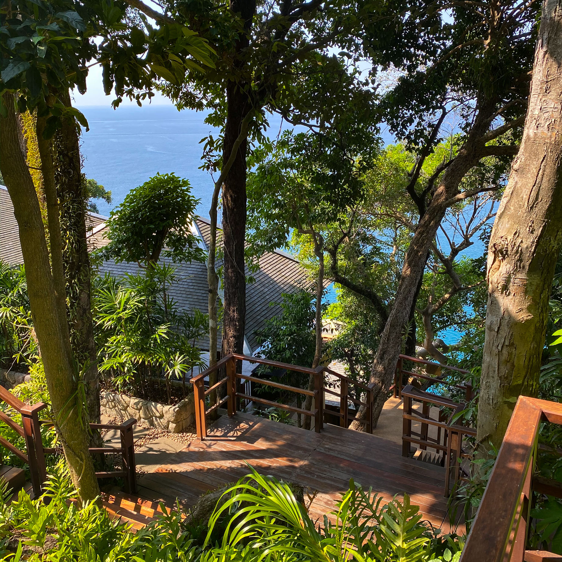 Descente vers la falaise