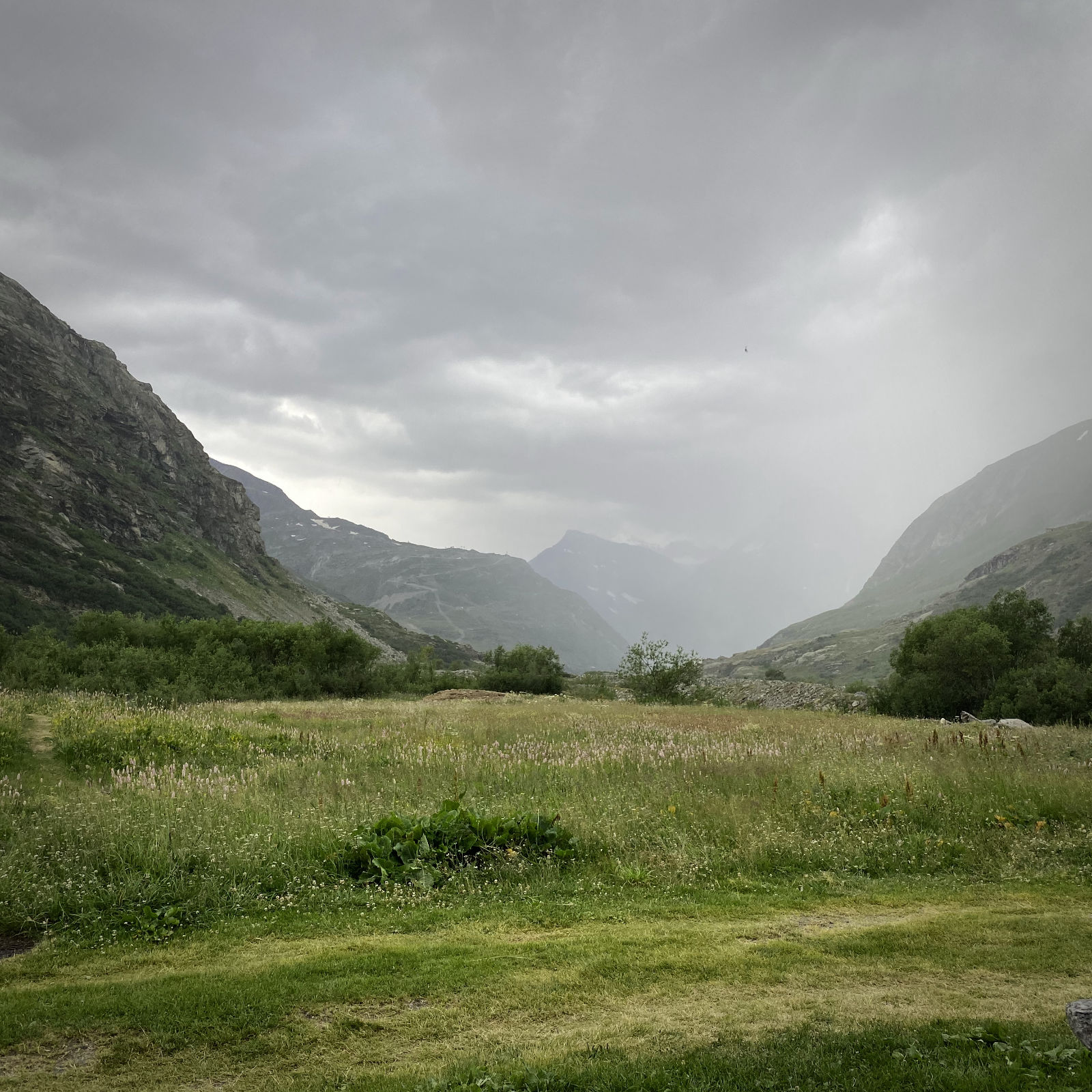 Un petit grain de montagne