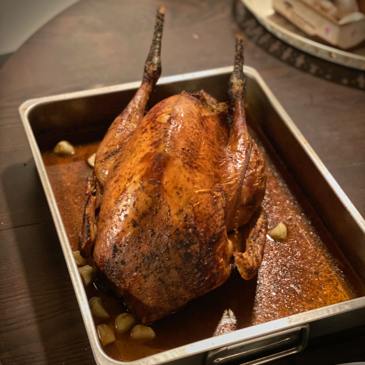 Choyeux Noël la dinde !