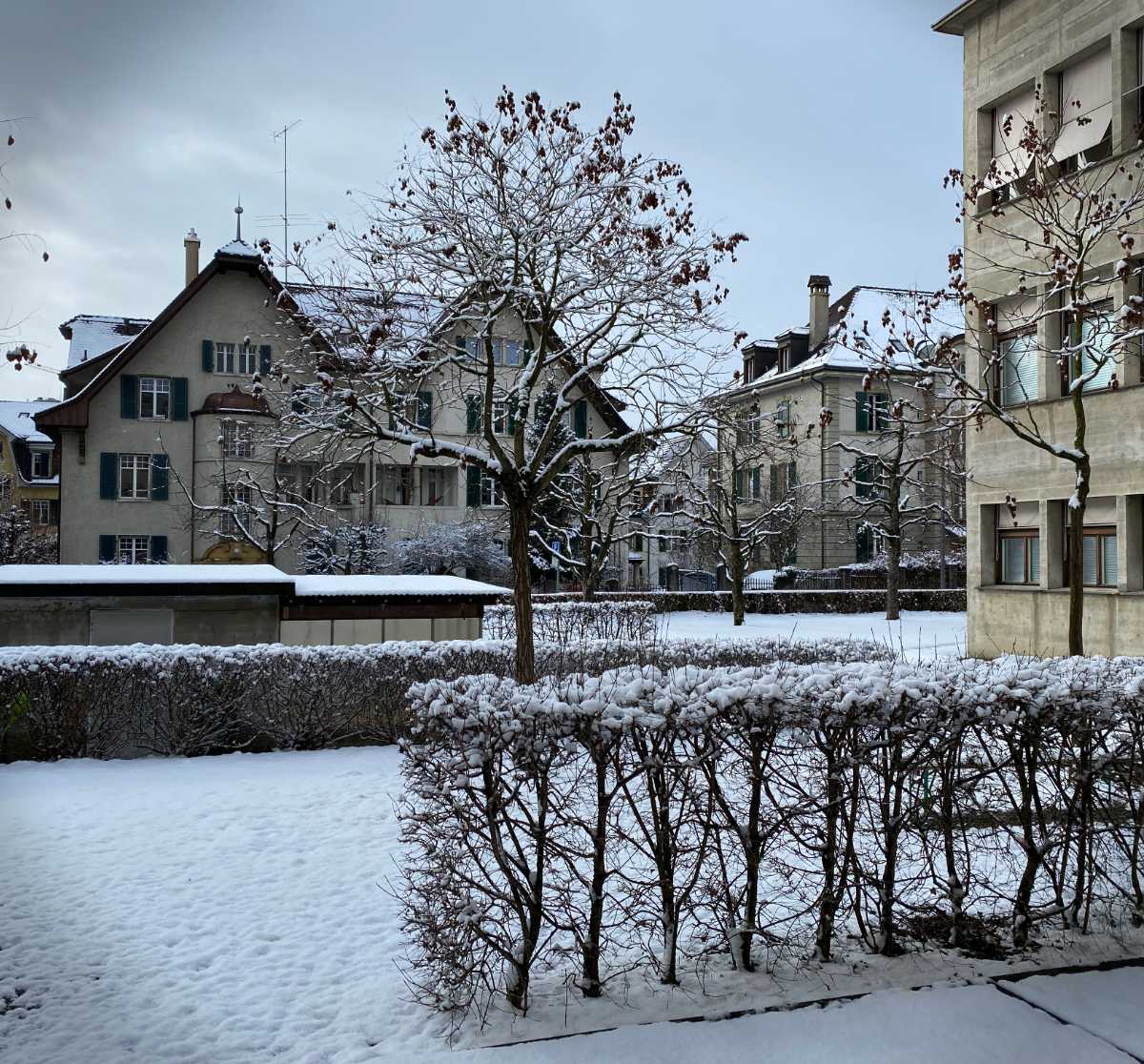 L&rsquo;institut de géologie sous la neige