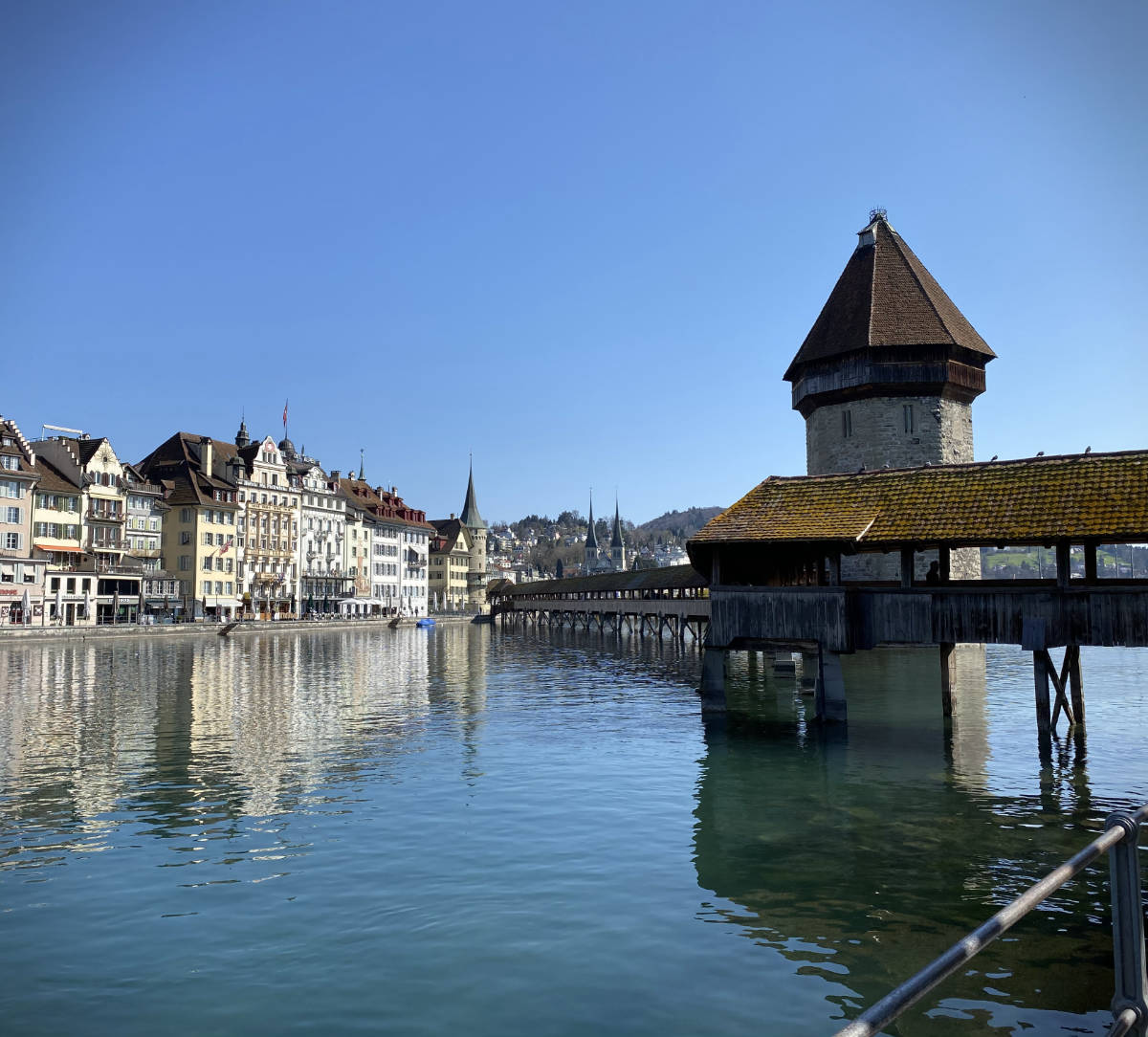 Comme un poisson à Lucerne