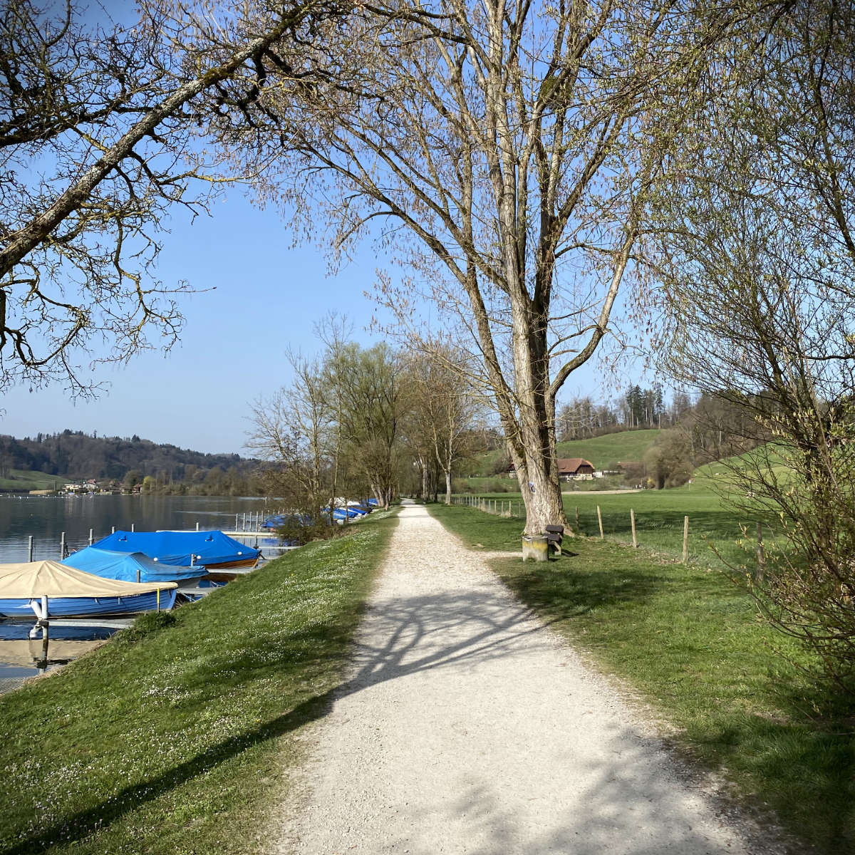 Un anniversaire au lac