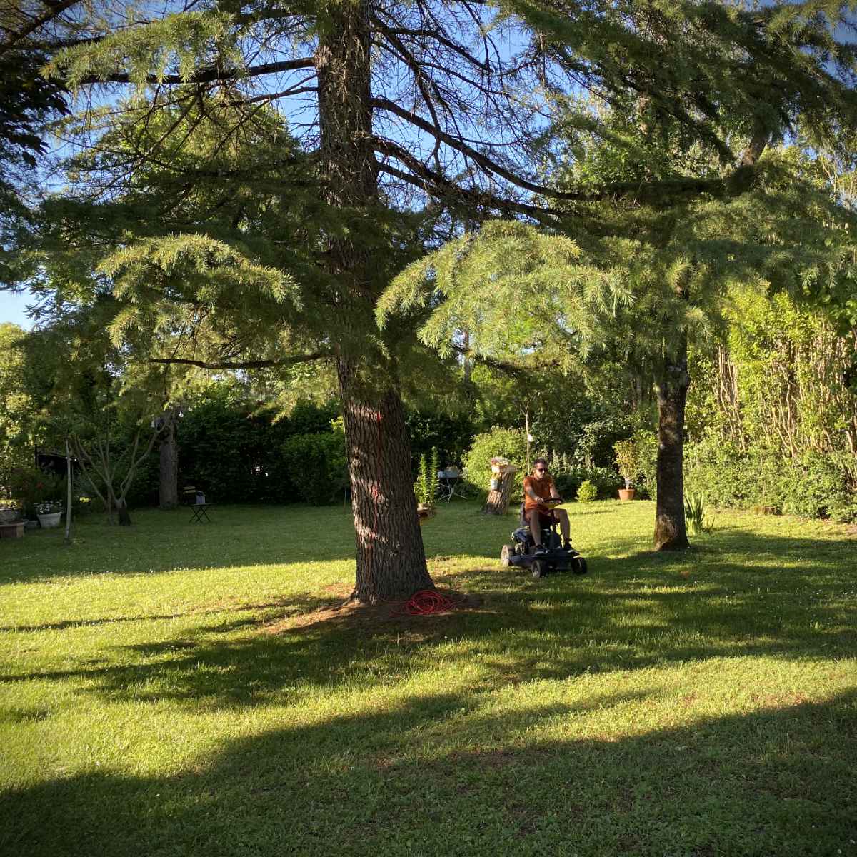 Activité paysagiste