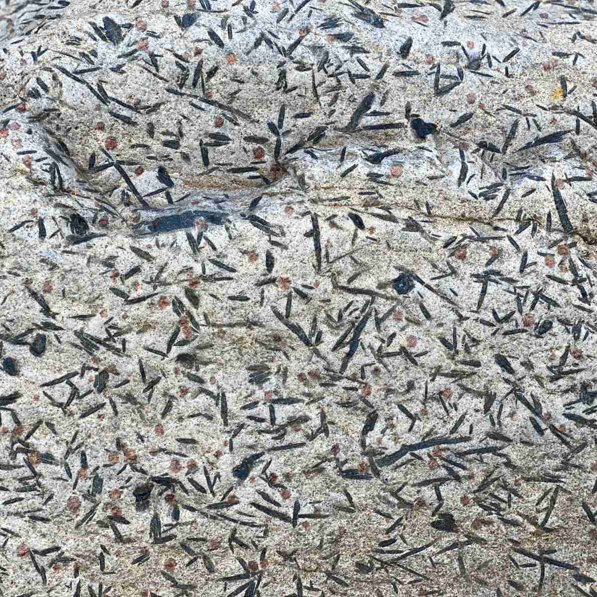 Le schiste en gerbes