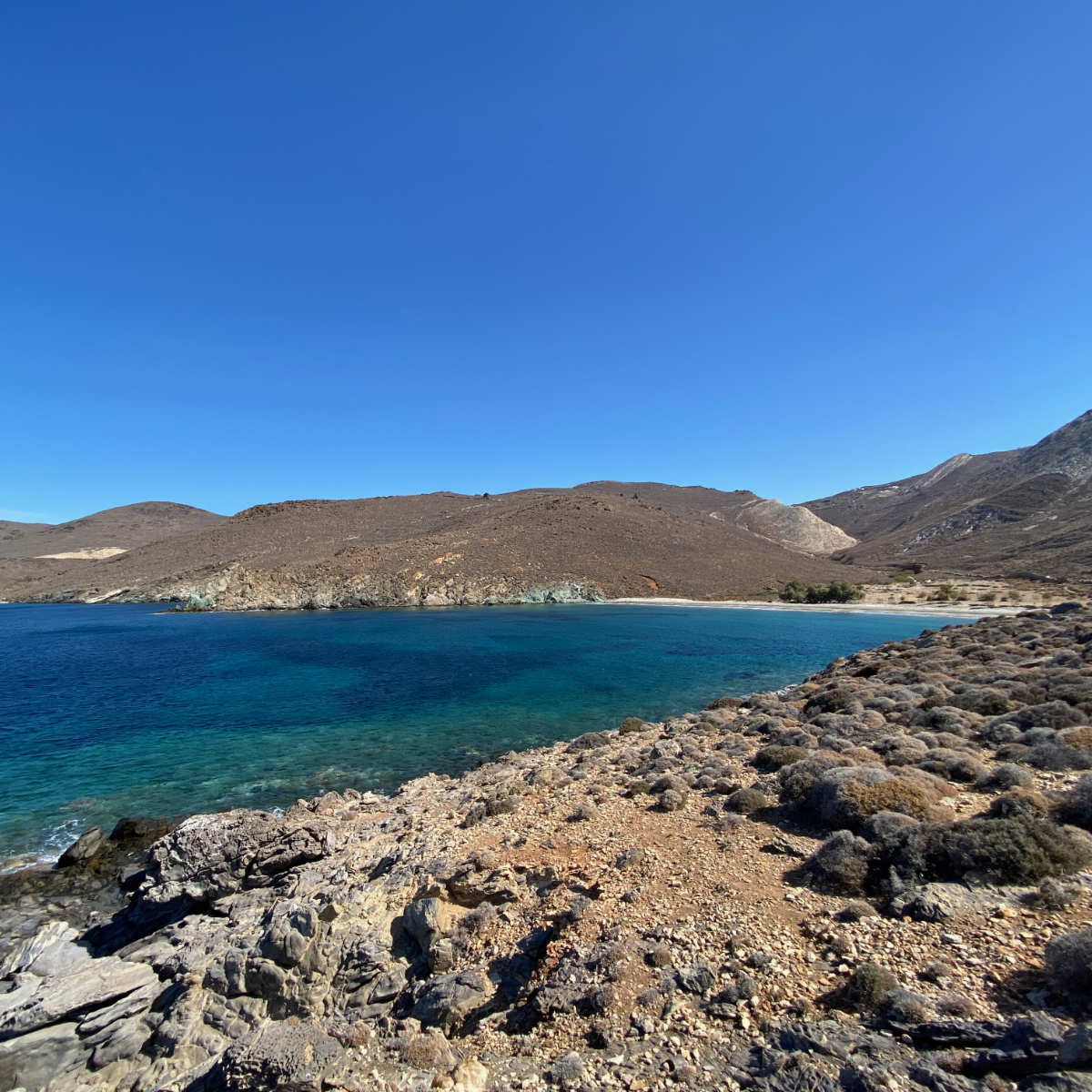 Nouvelle visite à Lia