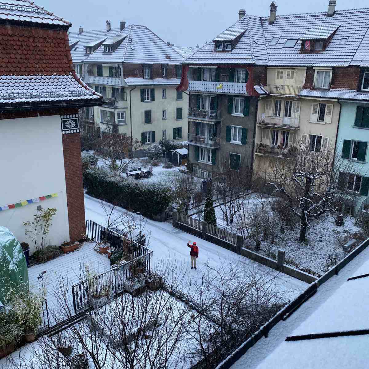 Un matin de blizzard