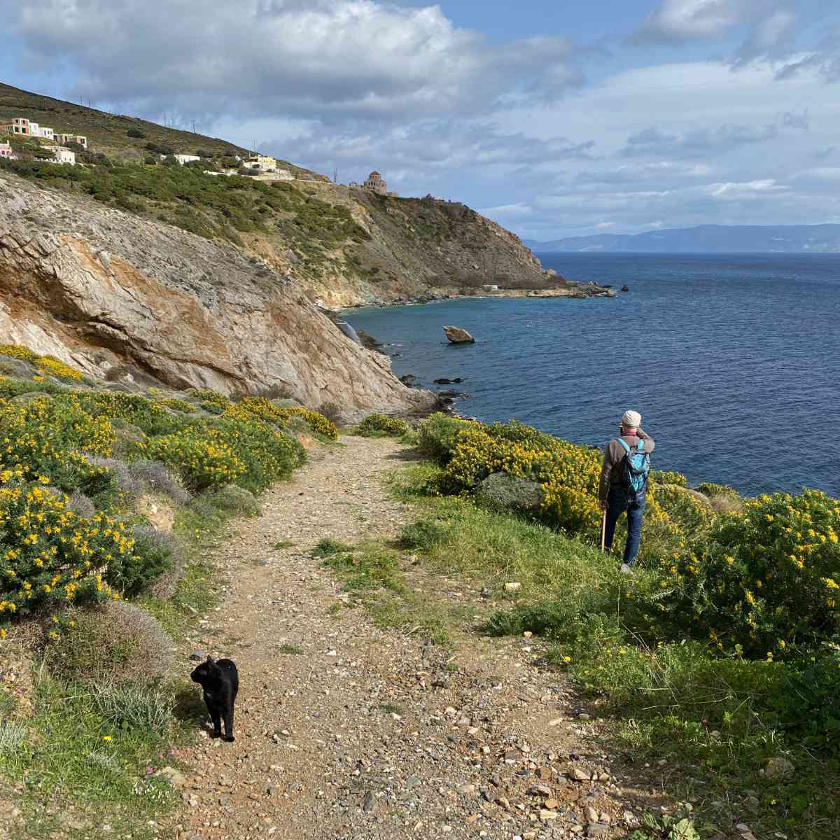 Dernière sortie terrain entre amis avant…