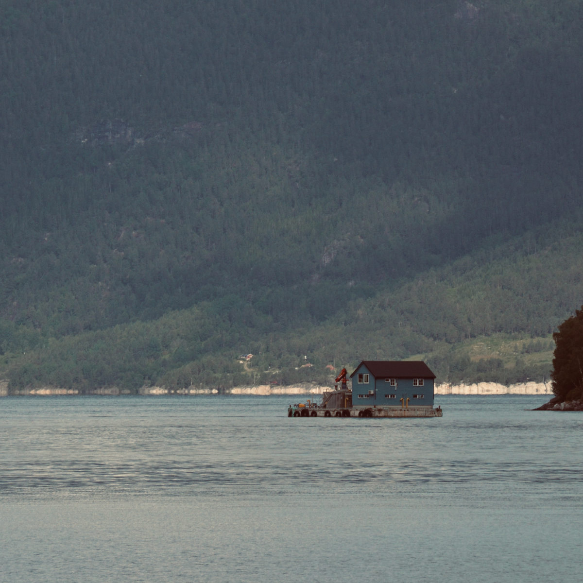 Vous prendrez bien du saumon ?