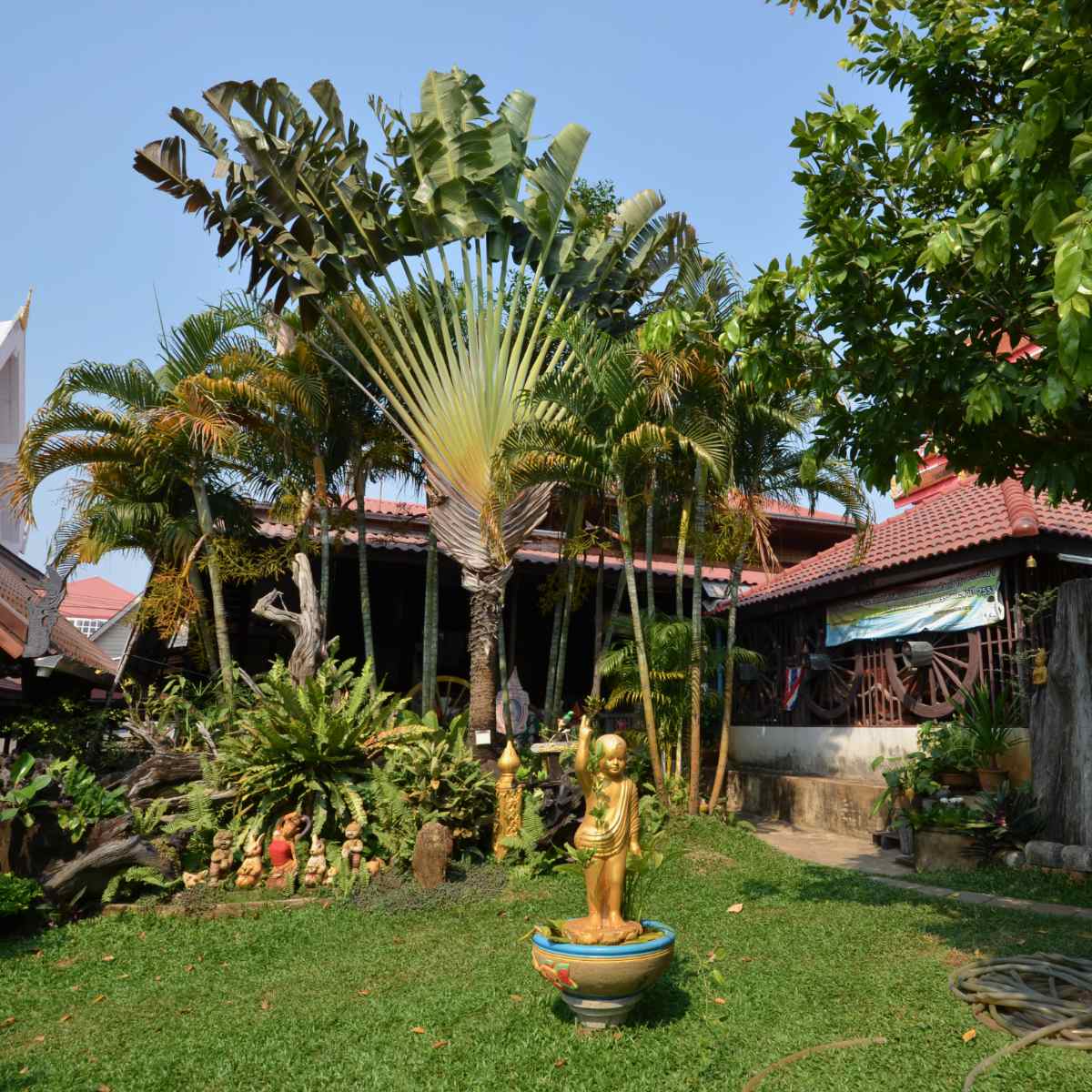 Dans les jardins du Wat Luang