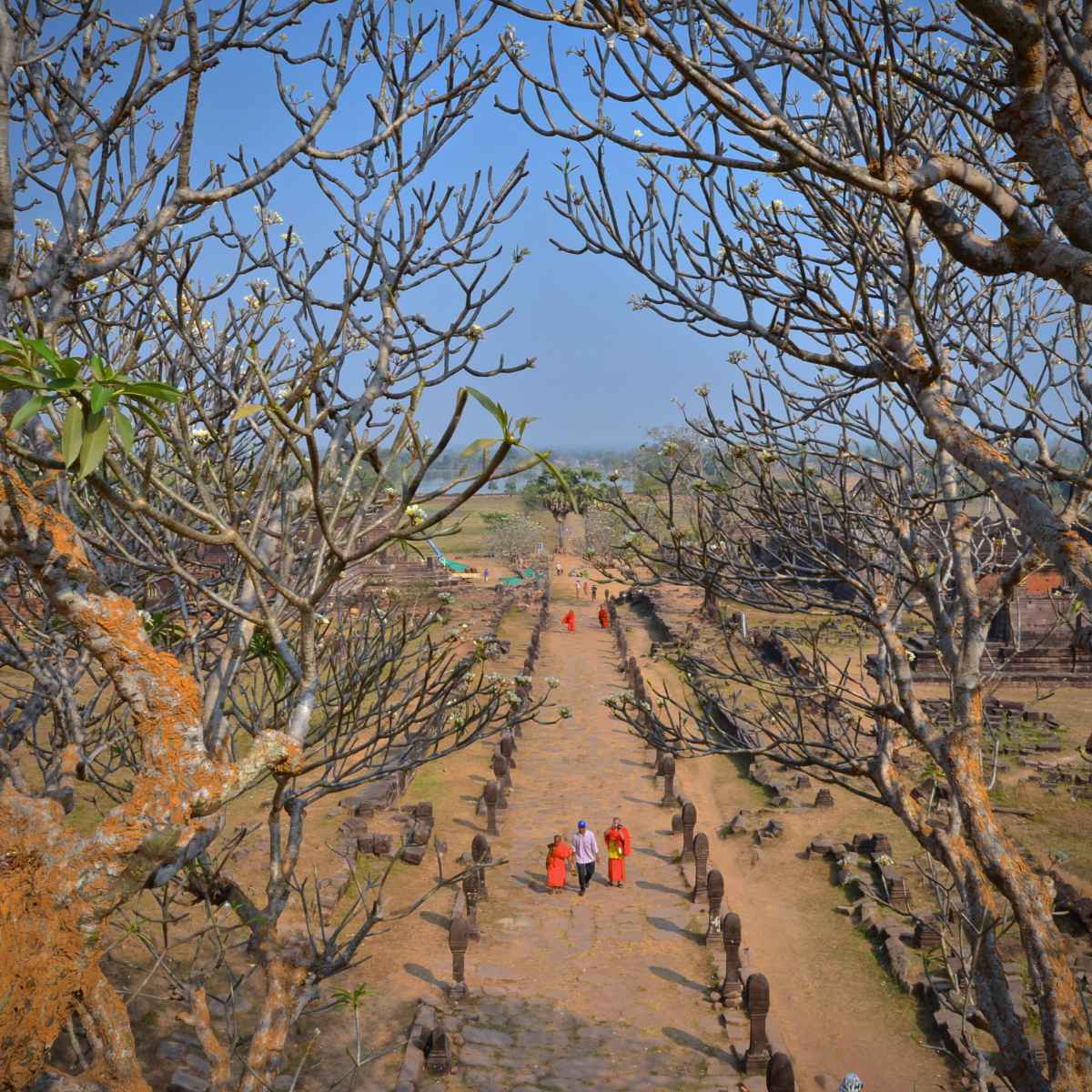 Sur les marches du Wat Phu