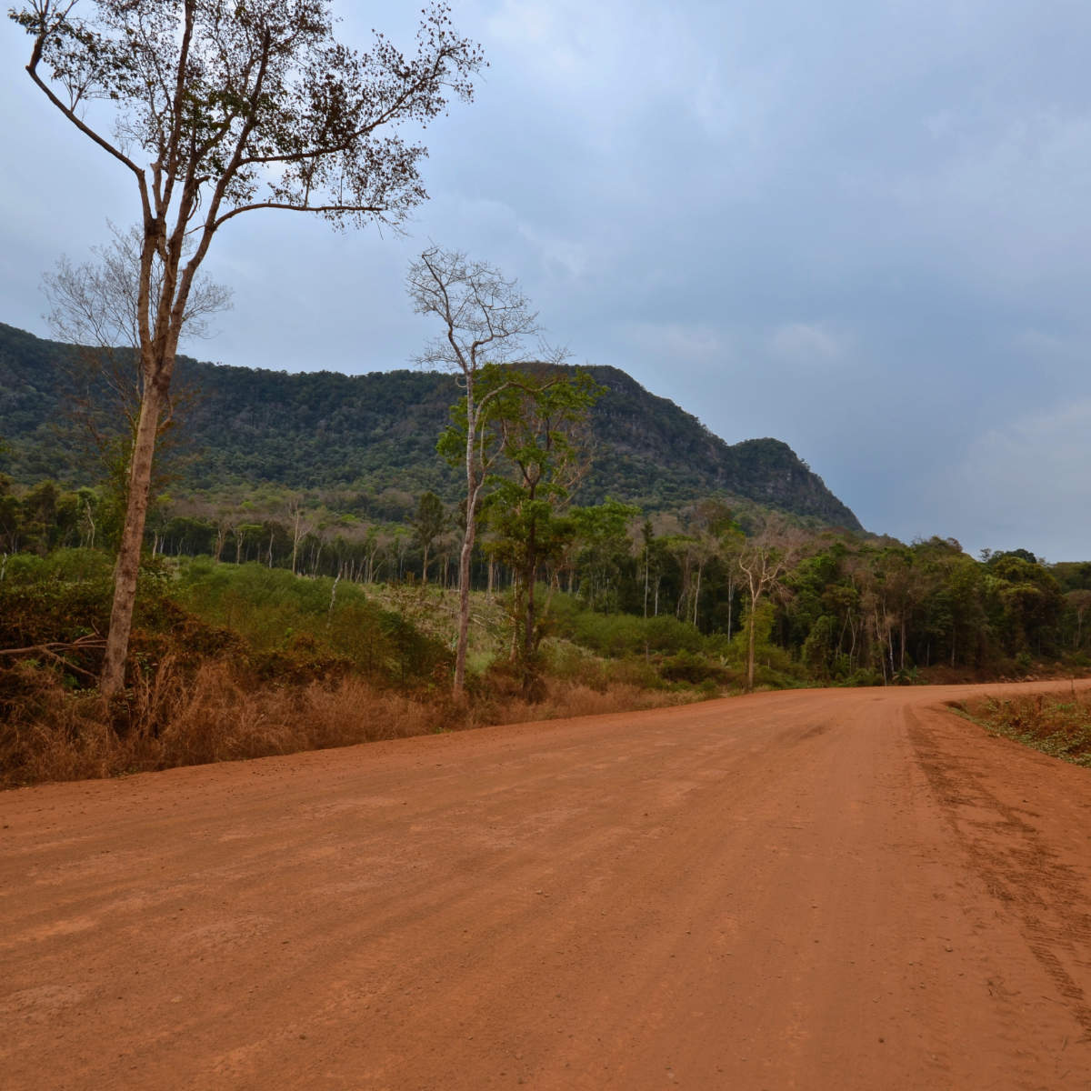 La nouvelle route du plateau
