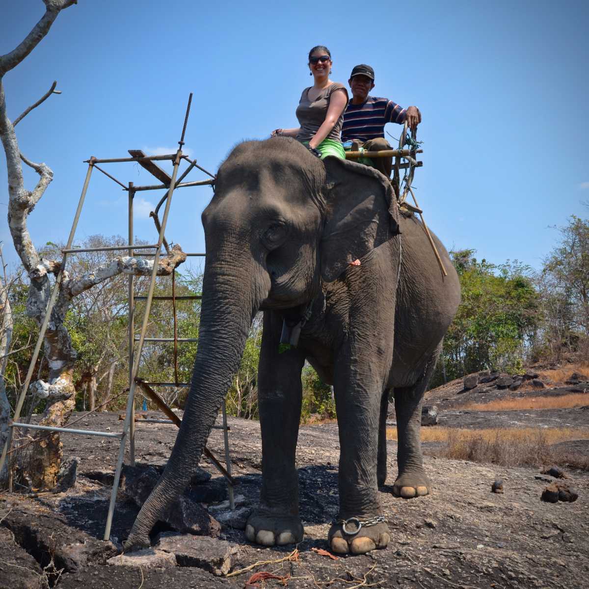 Saah l&rsquo;éléphante (1/3)