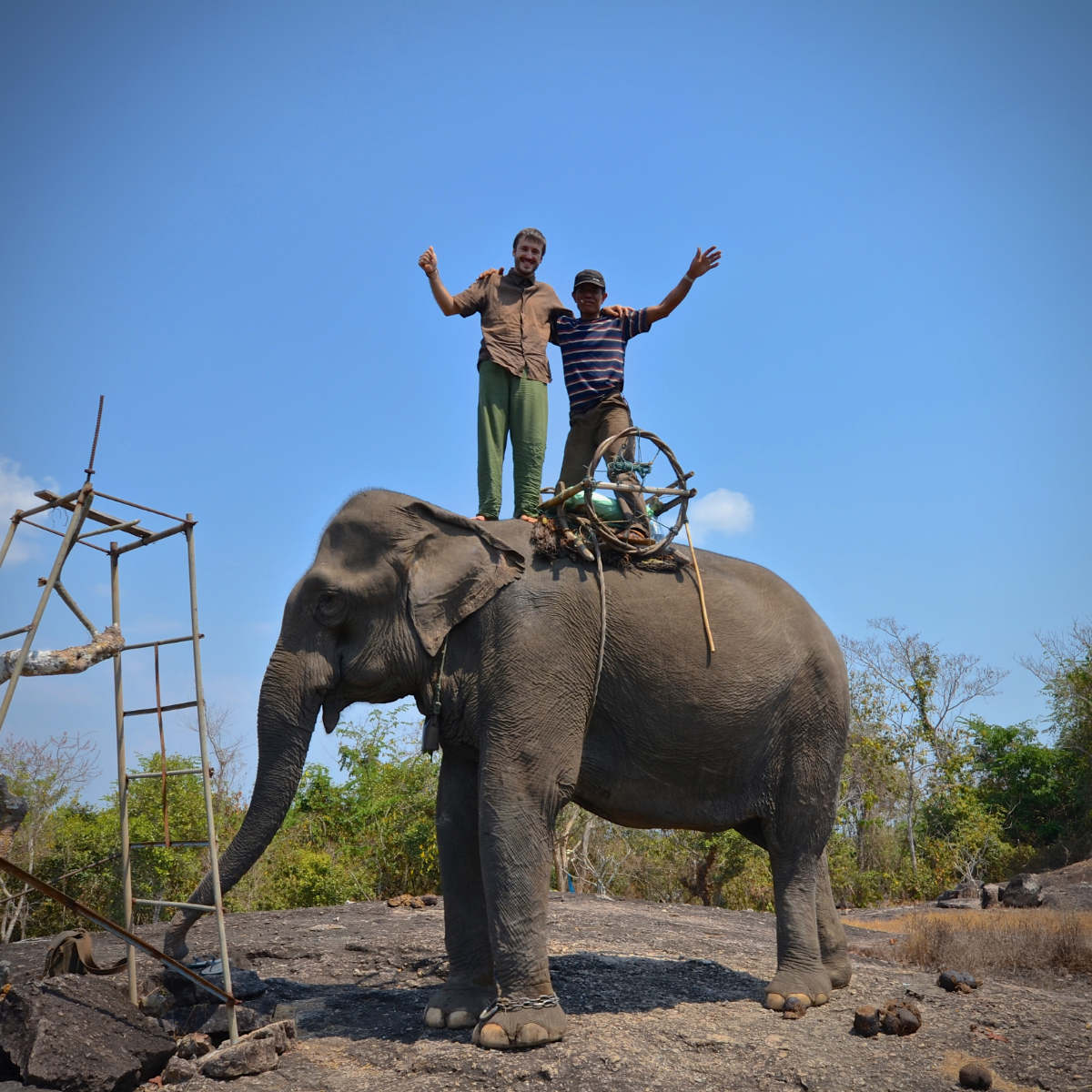 Saah l&rsquo;éléphante (2/3)