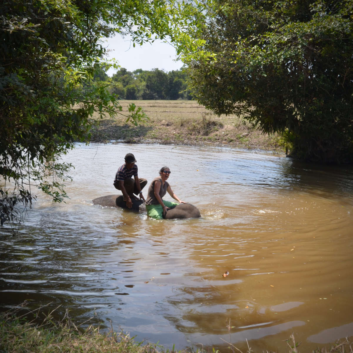 Saah l&rsquo;éléphante (3/3)