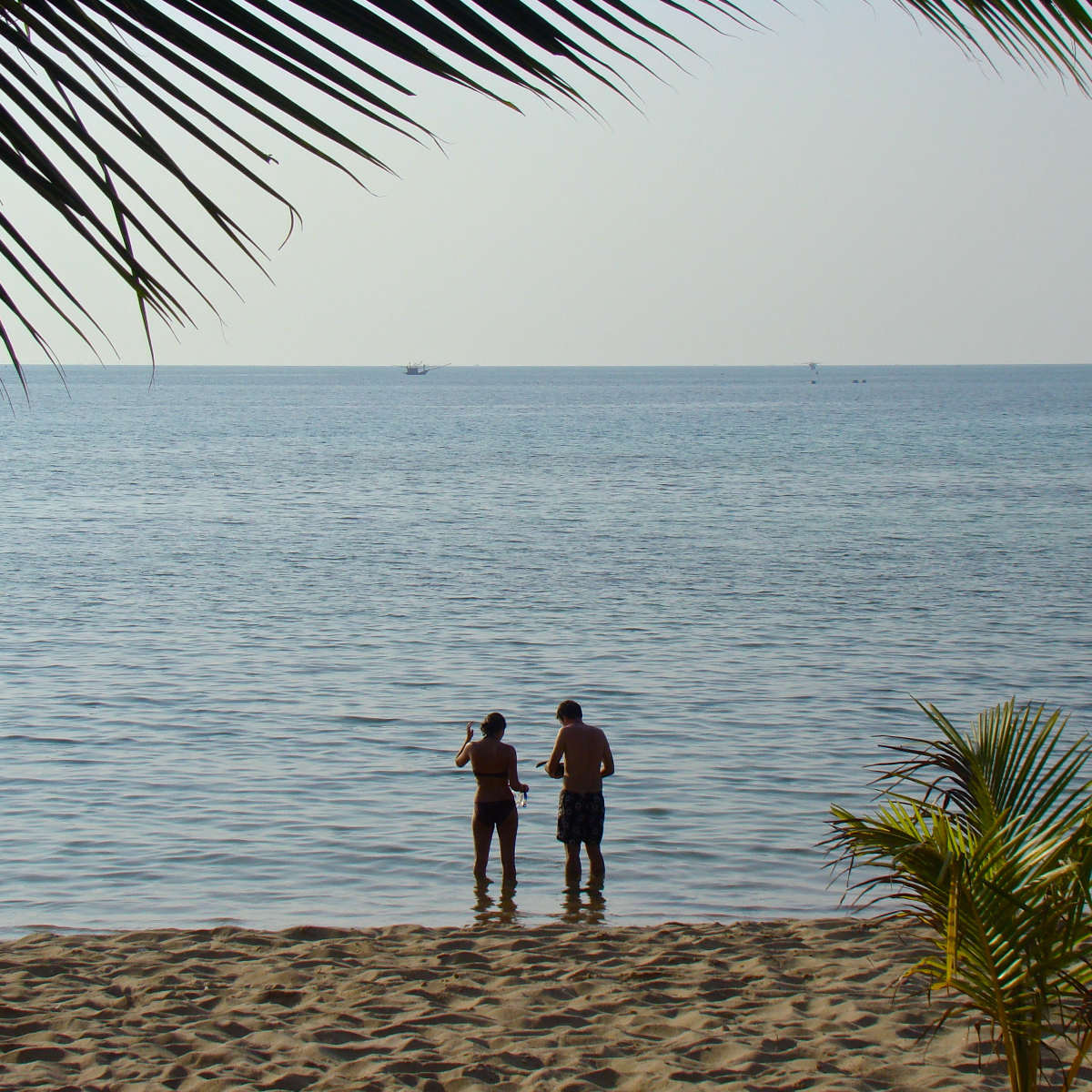 Snorkeling sur la plage