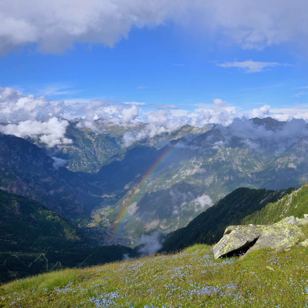 À la découverte de la zone Sésia
