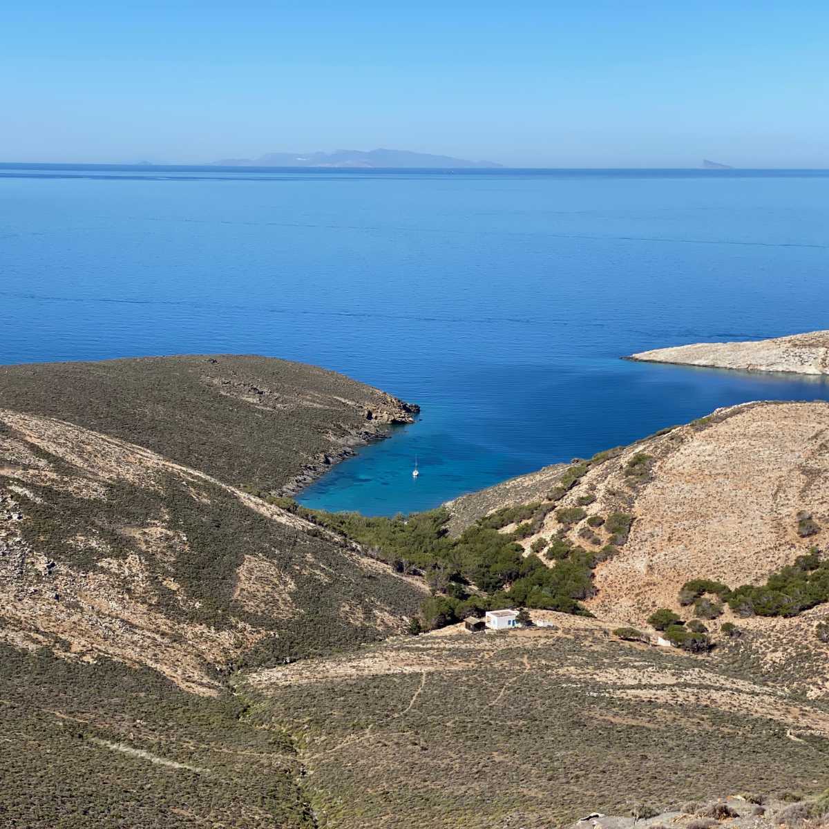 Retour chez l&rsquo;Américanou