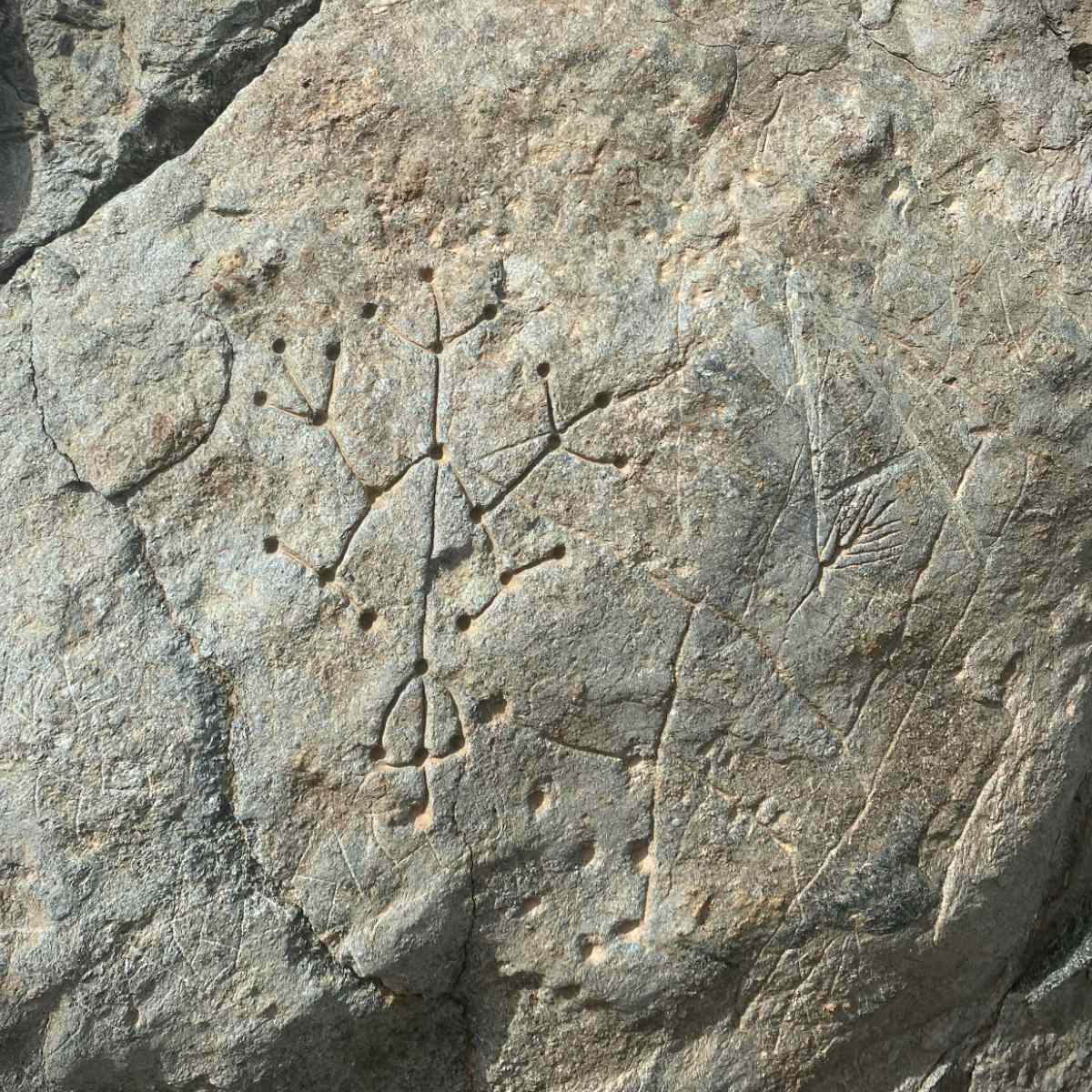 Les pétroglyphes de Syros