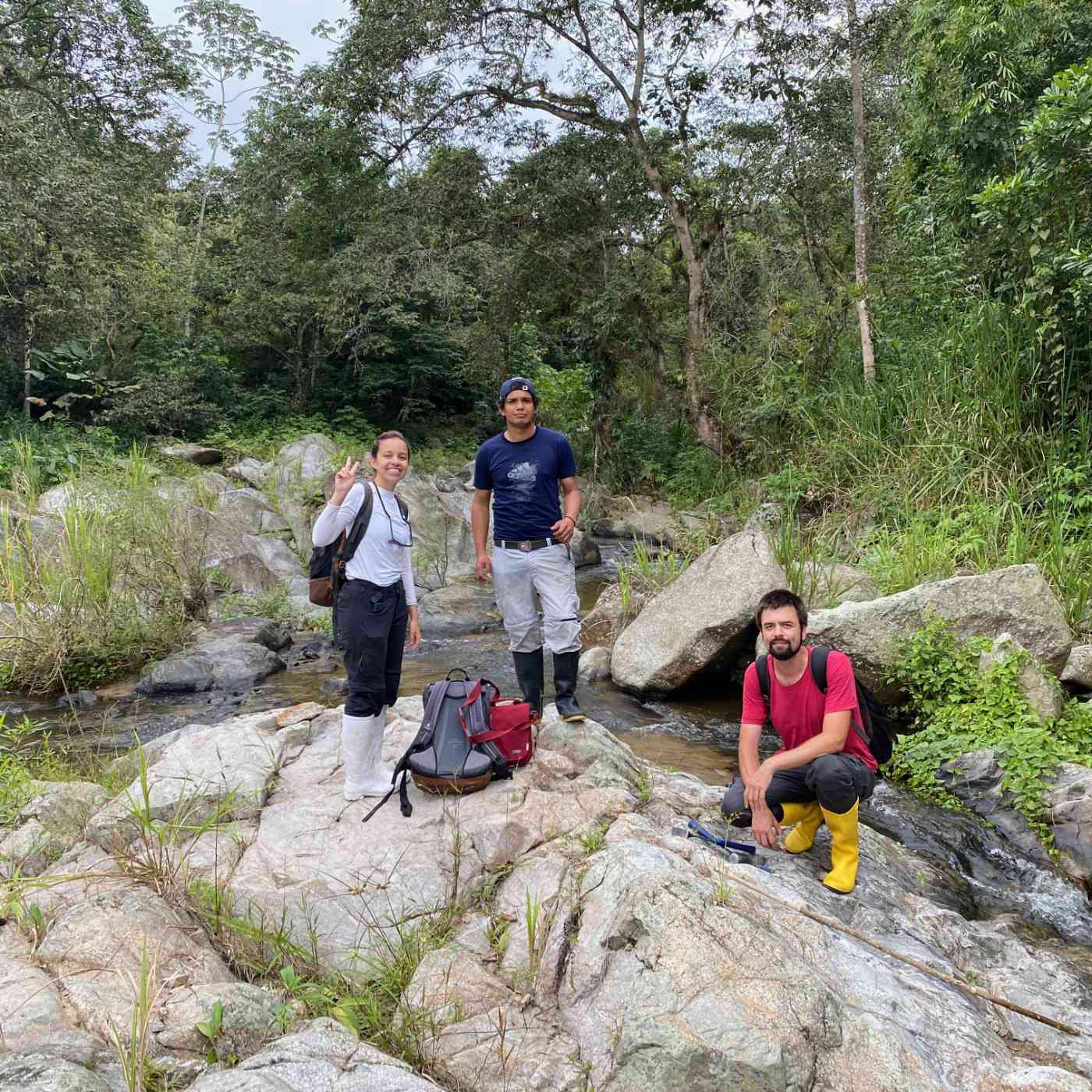 Premières migmatites