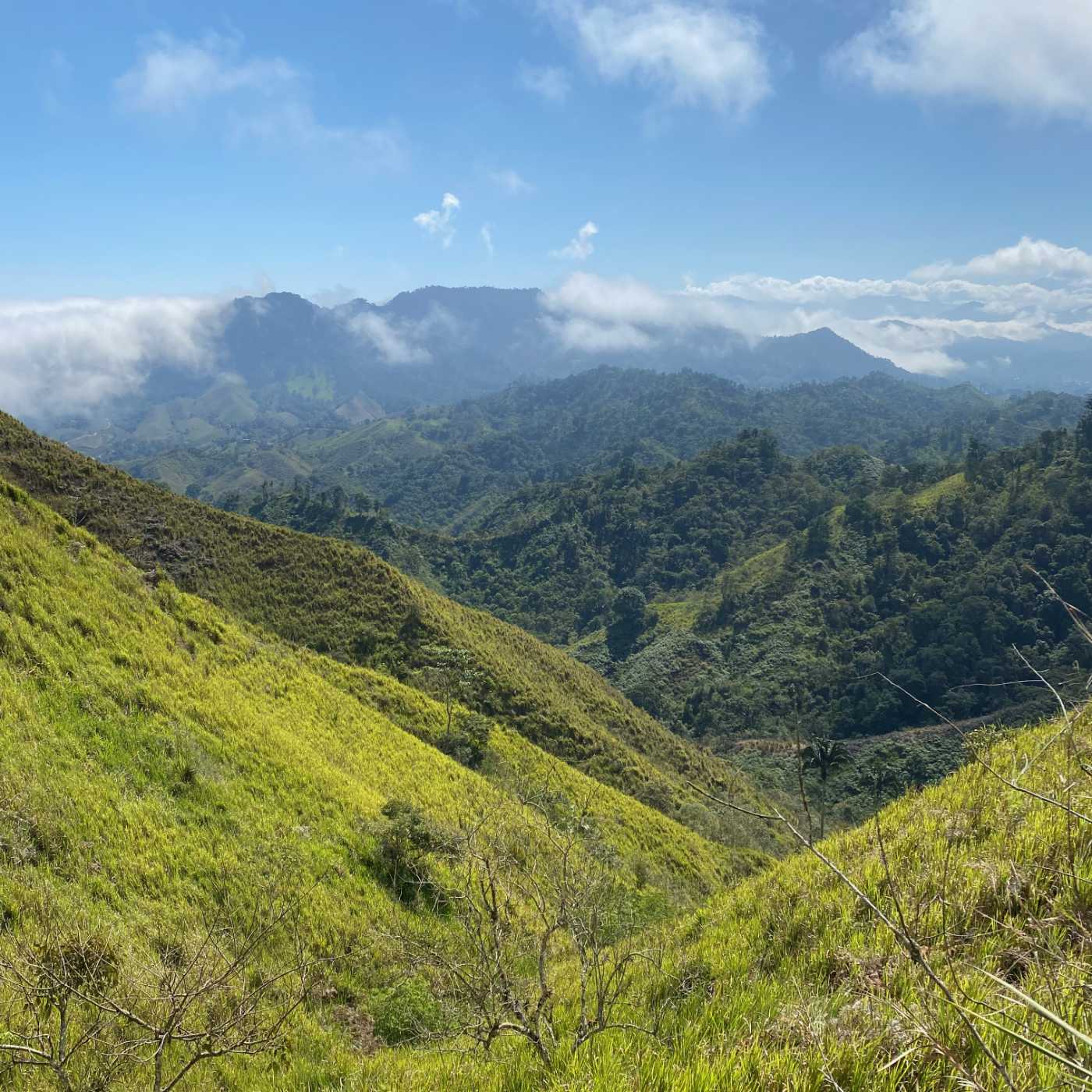 Les hauteurs de Marcabelí