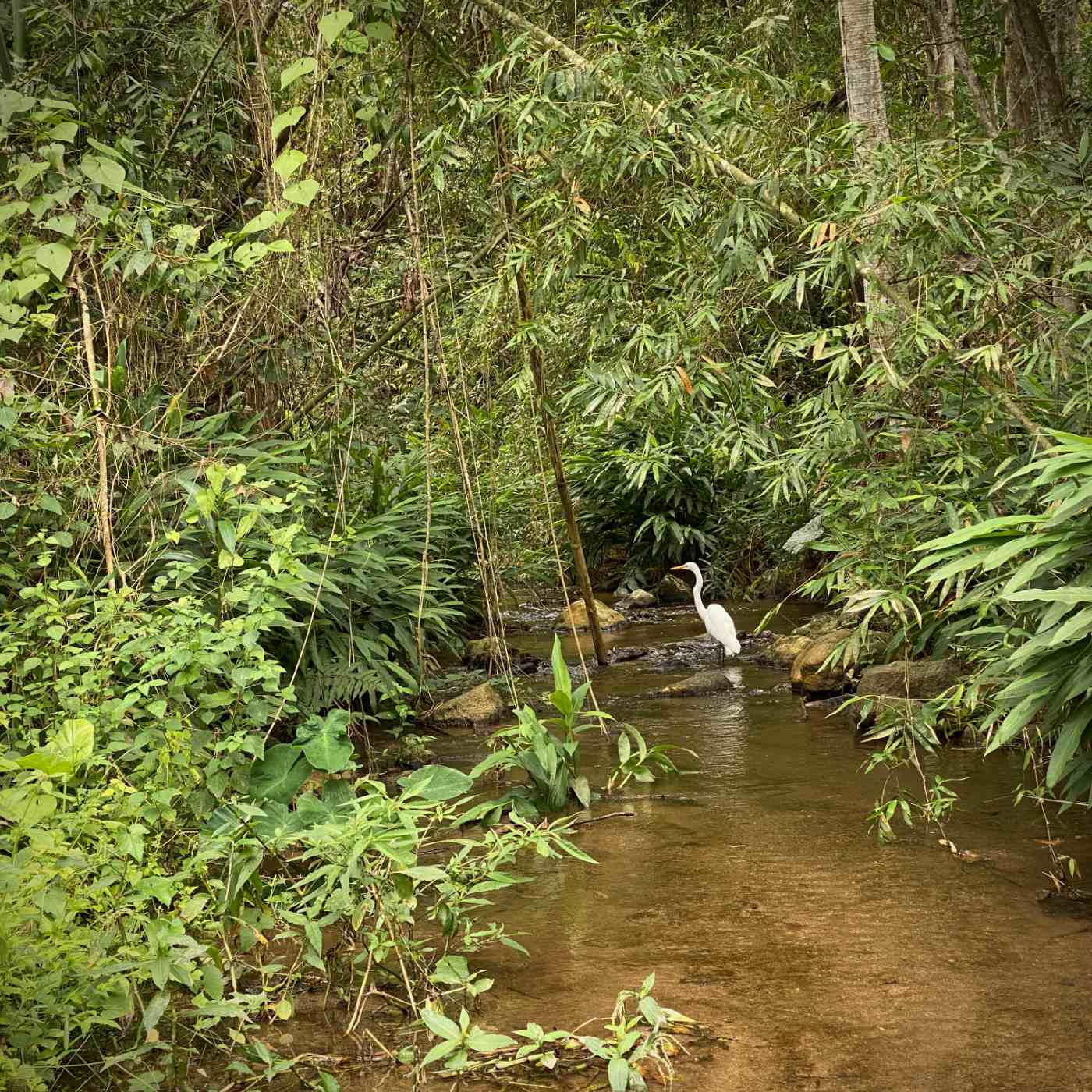Un observateur sur le terrain