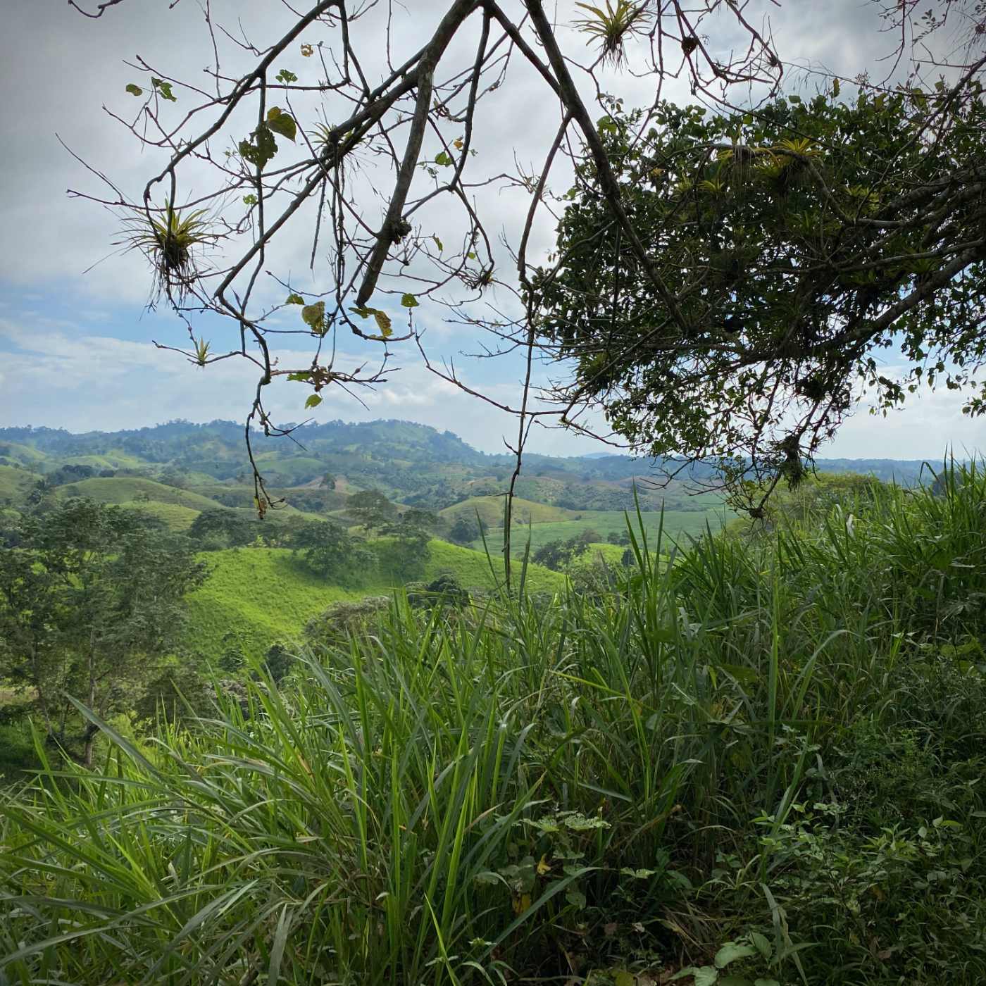Pas d&rsquo;affleurements, mais un lac