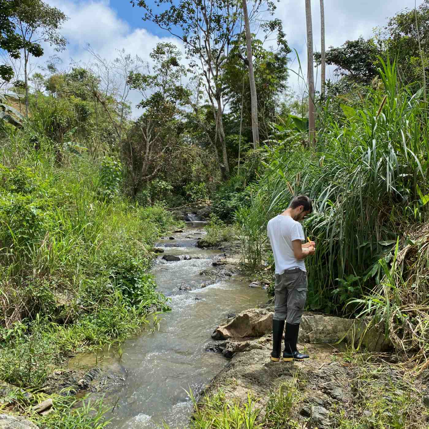 Un doctorant sauvage