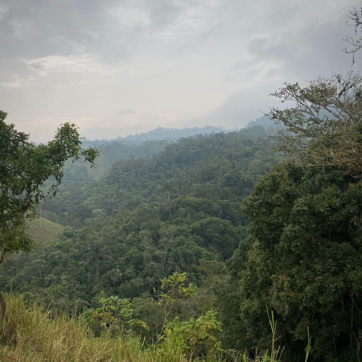 Sortie pluvieuse du Rio