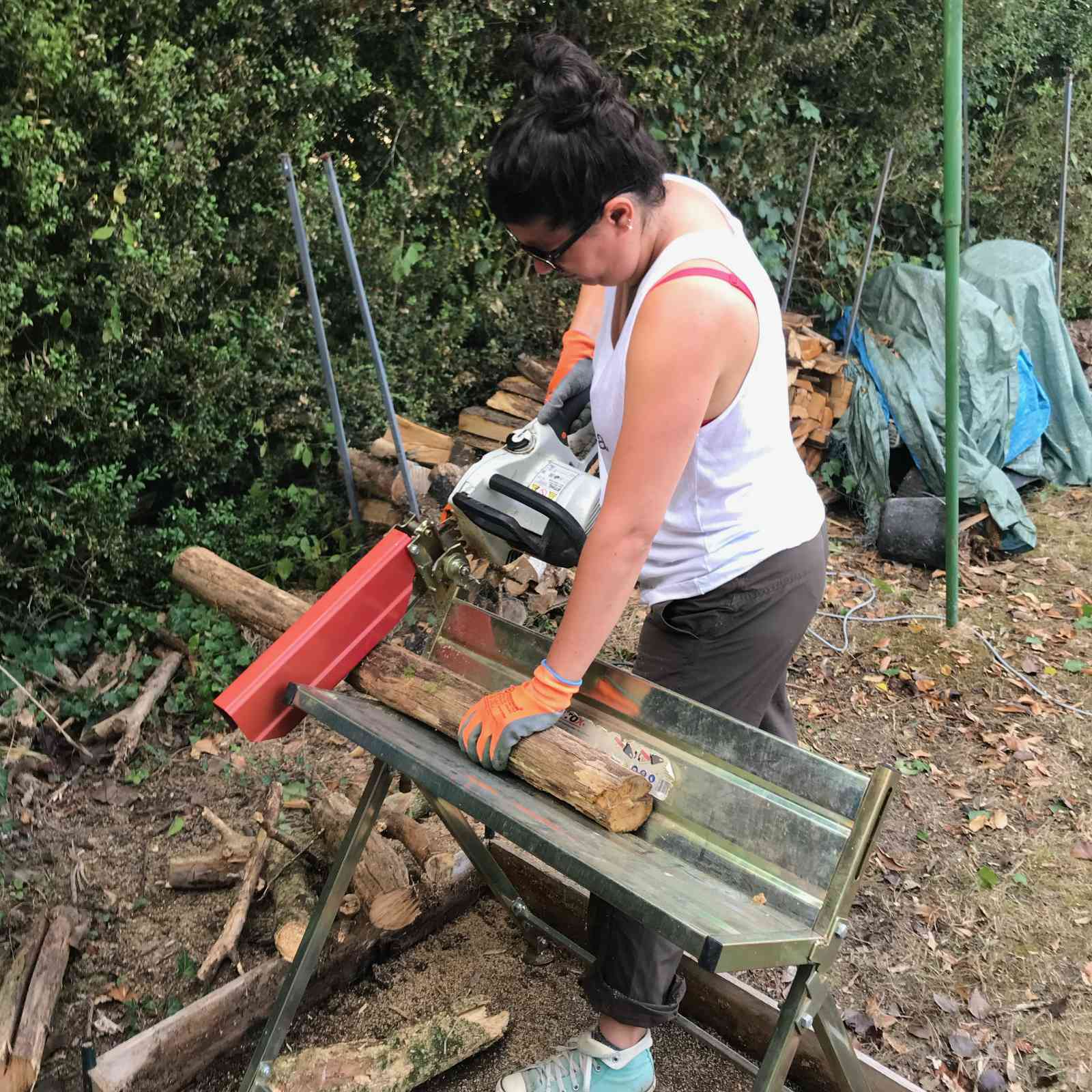 La bucheronne du Tarn