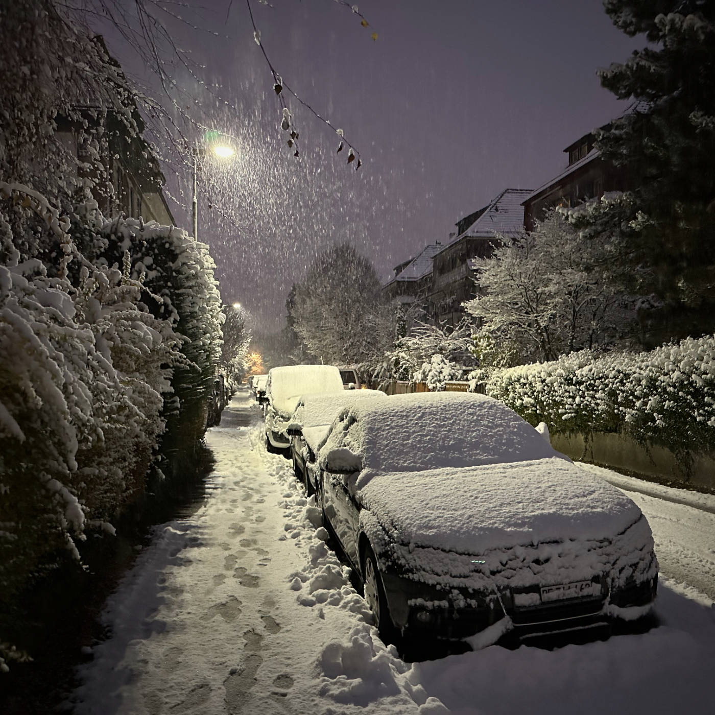 Première neige de l&rsquo;hiver