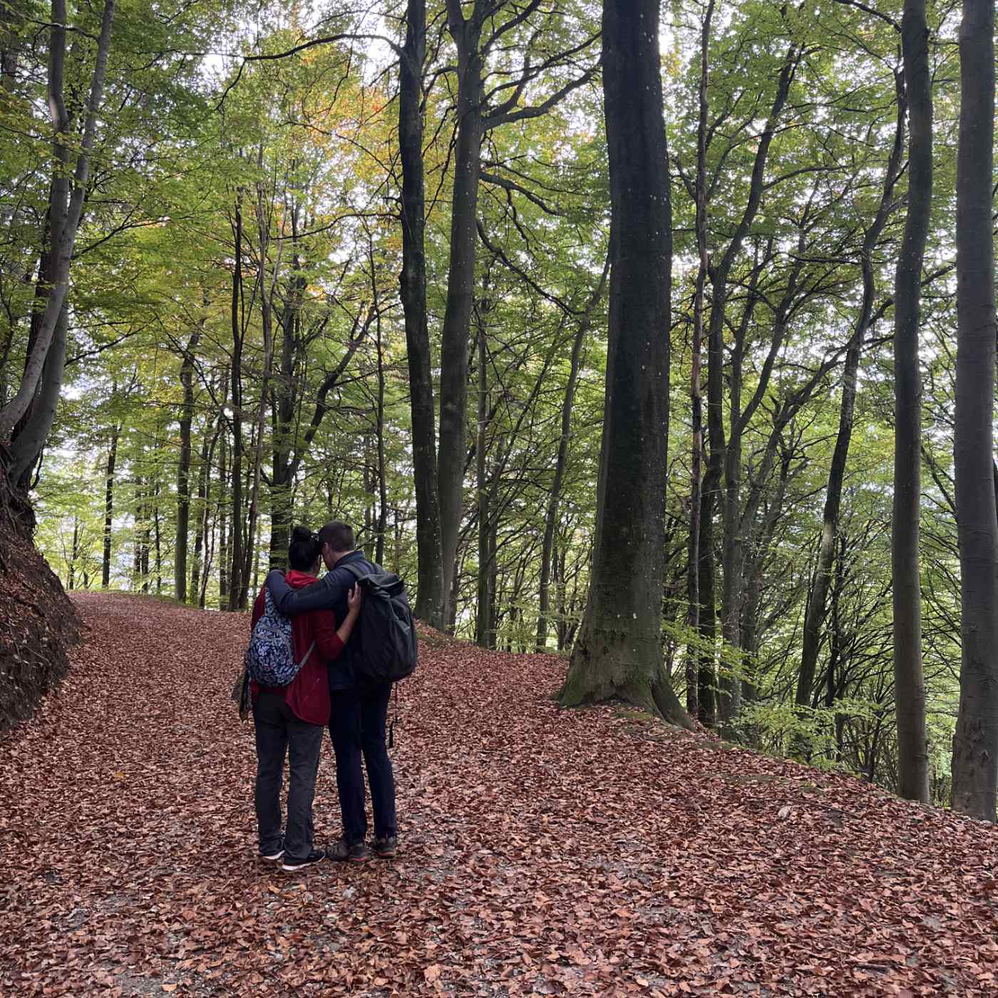 On est vraiment perdu ?