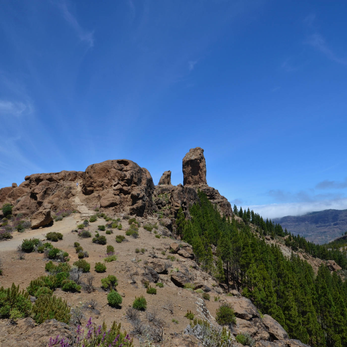Roque Nublo