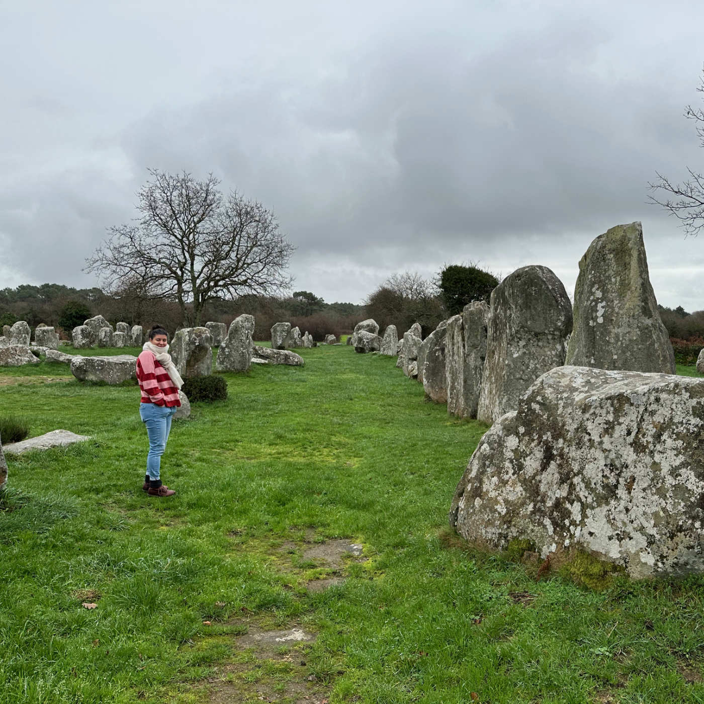 Ils sont fous ces Bretons