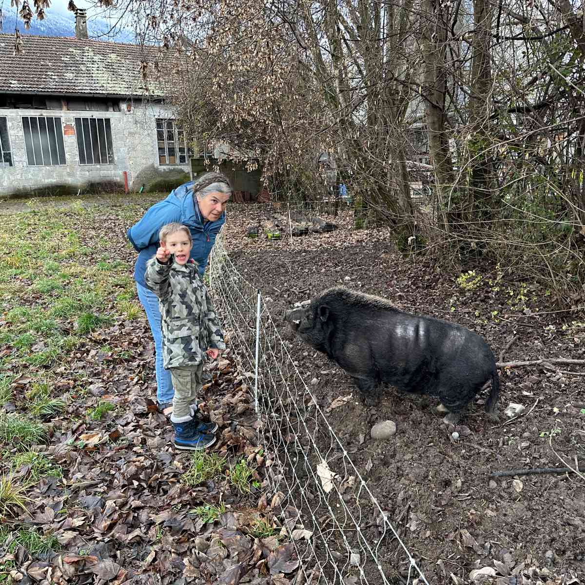 Vous reprendrez bien du bacon ?