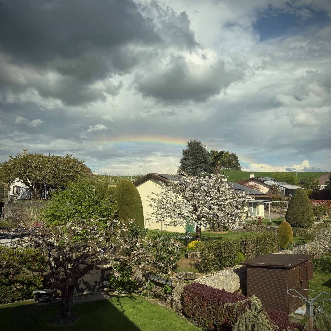 Arc-en-ciel de jardin