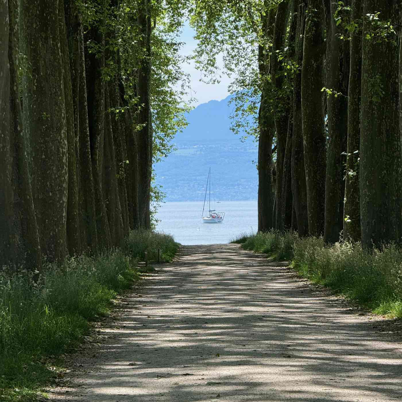 L&rsquo;allée du lac