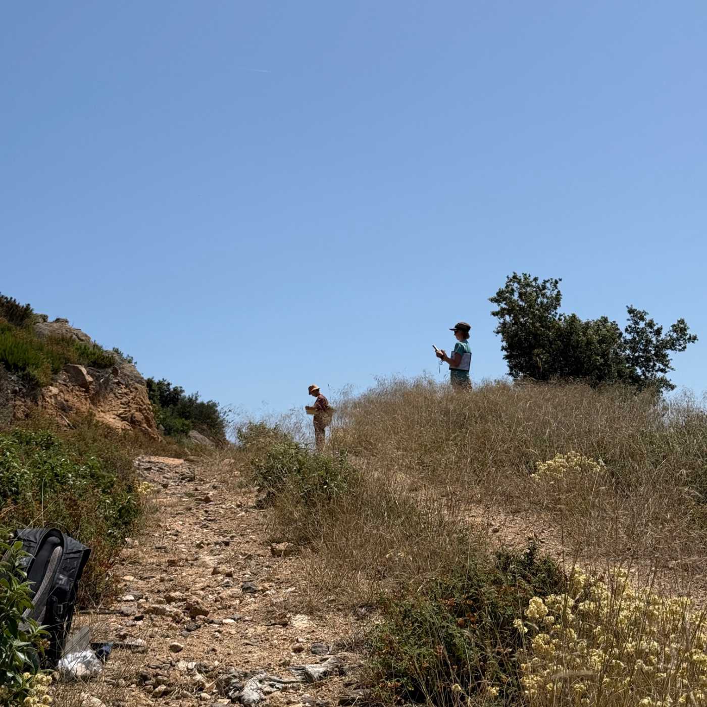 Étudiants suisses sous le cagnard