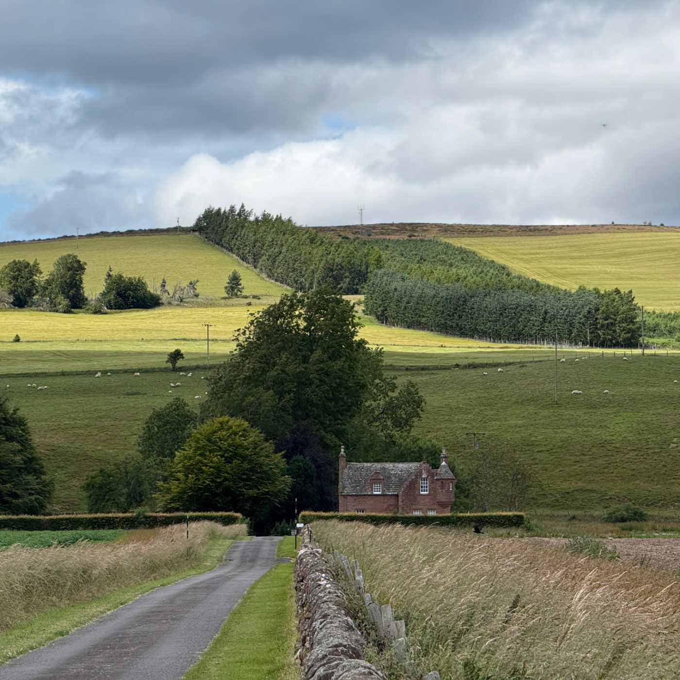 Tableau d&rsquo;Écosse